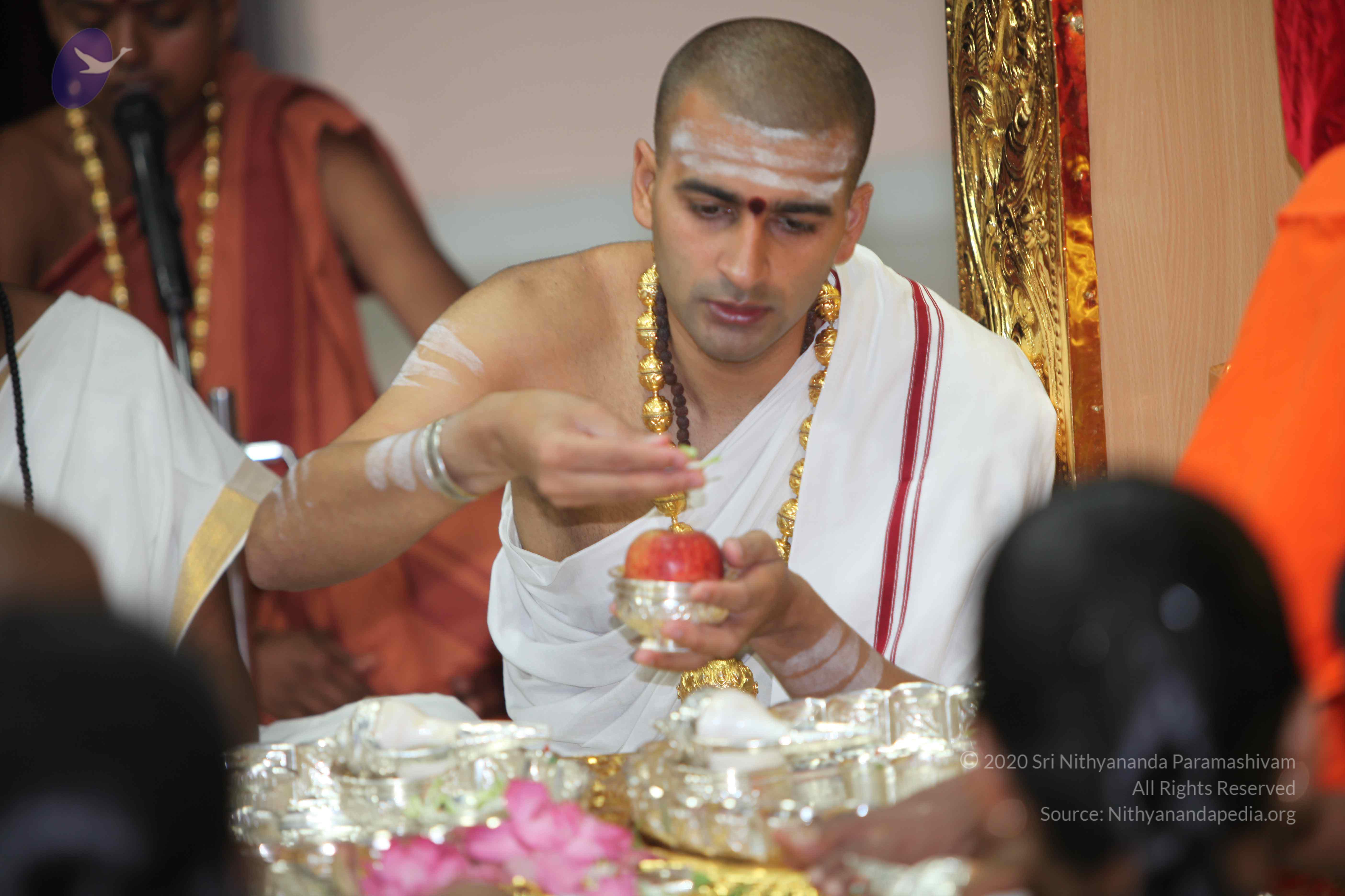 20101019_Photo_1070_IMG_2662_CMP_WM