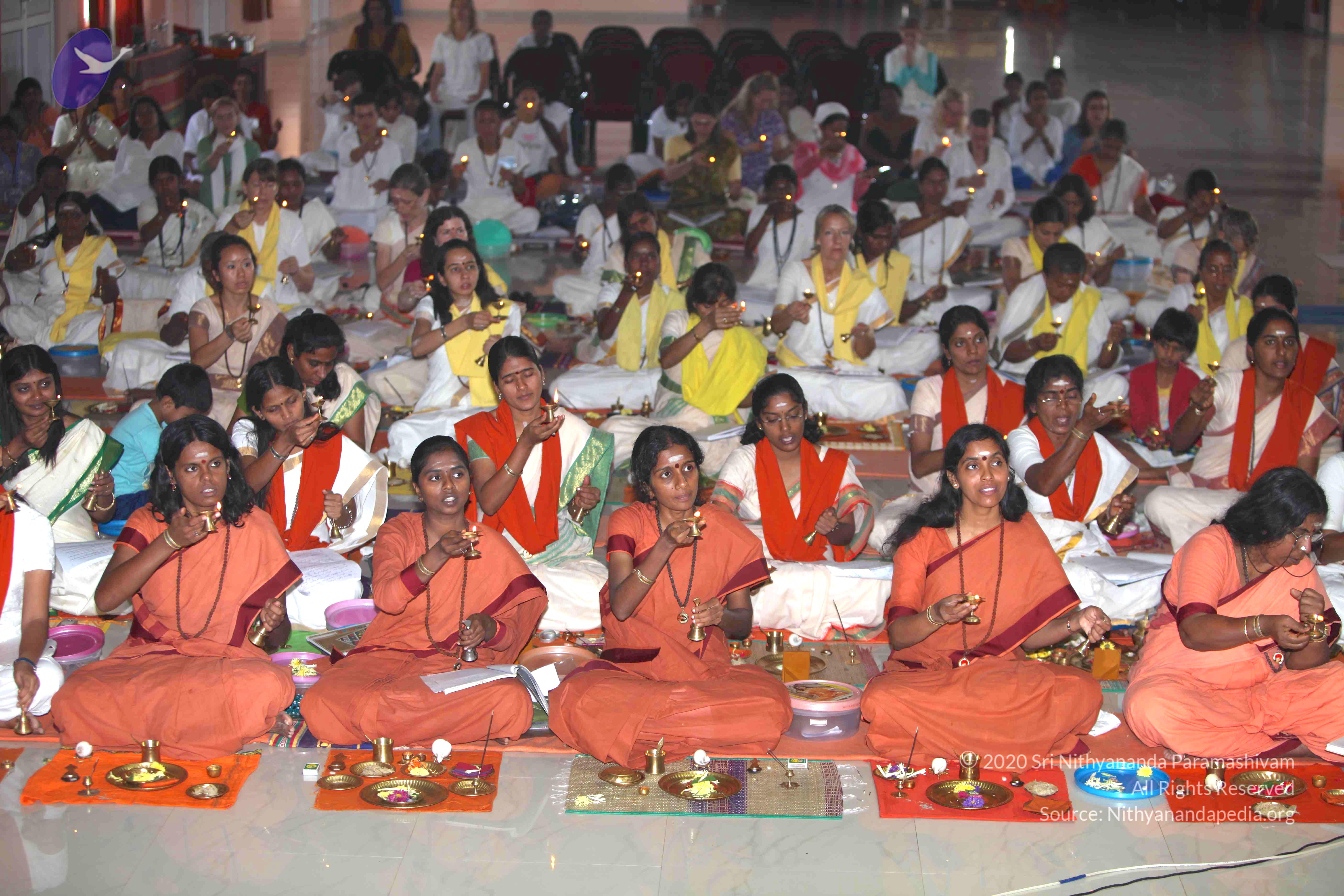 20101019_Photo_1073_IMG_2649_CMP_WM