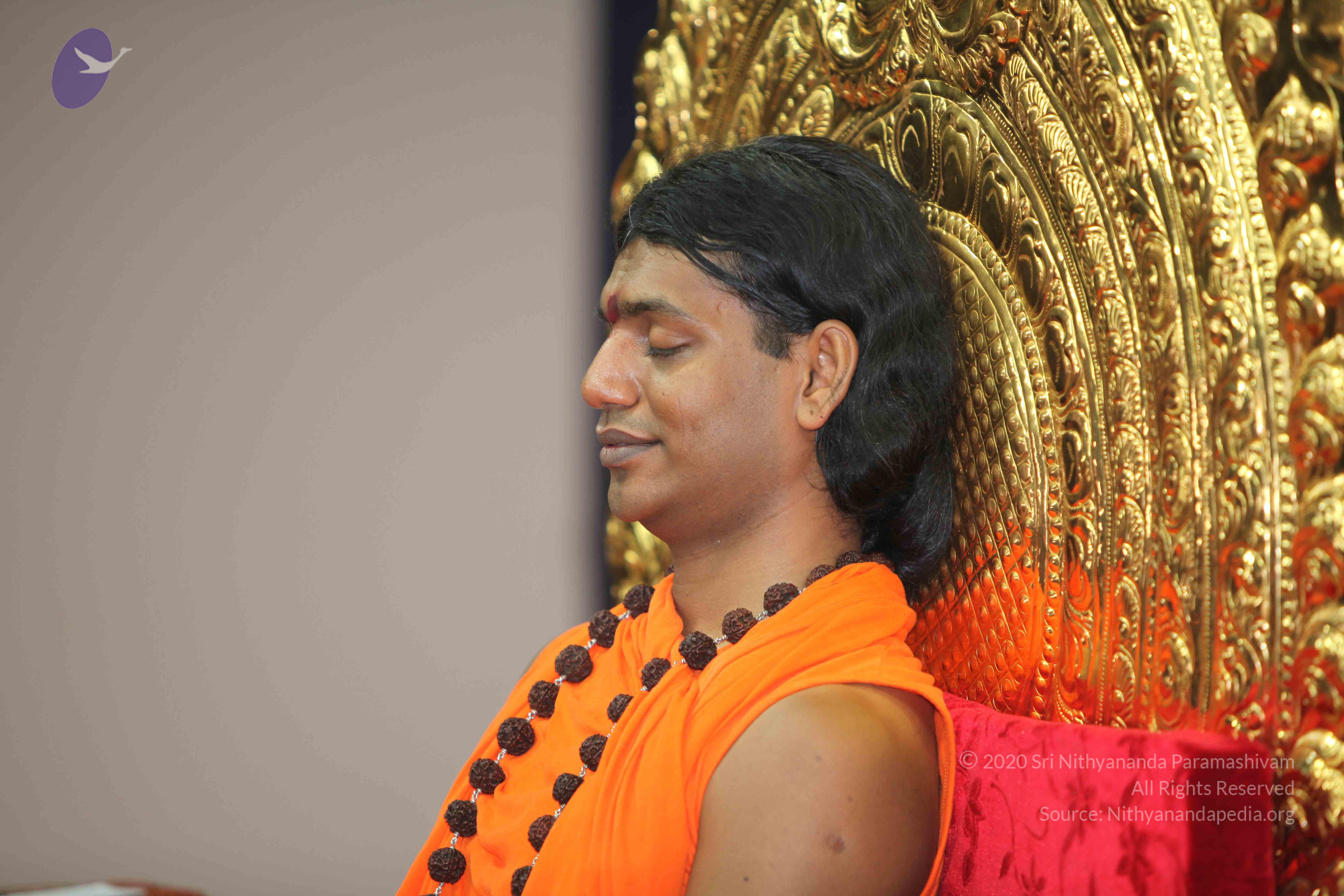 20101019_Photo_1084_IMG_2682_CMP_WM