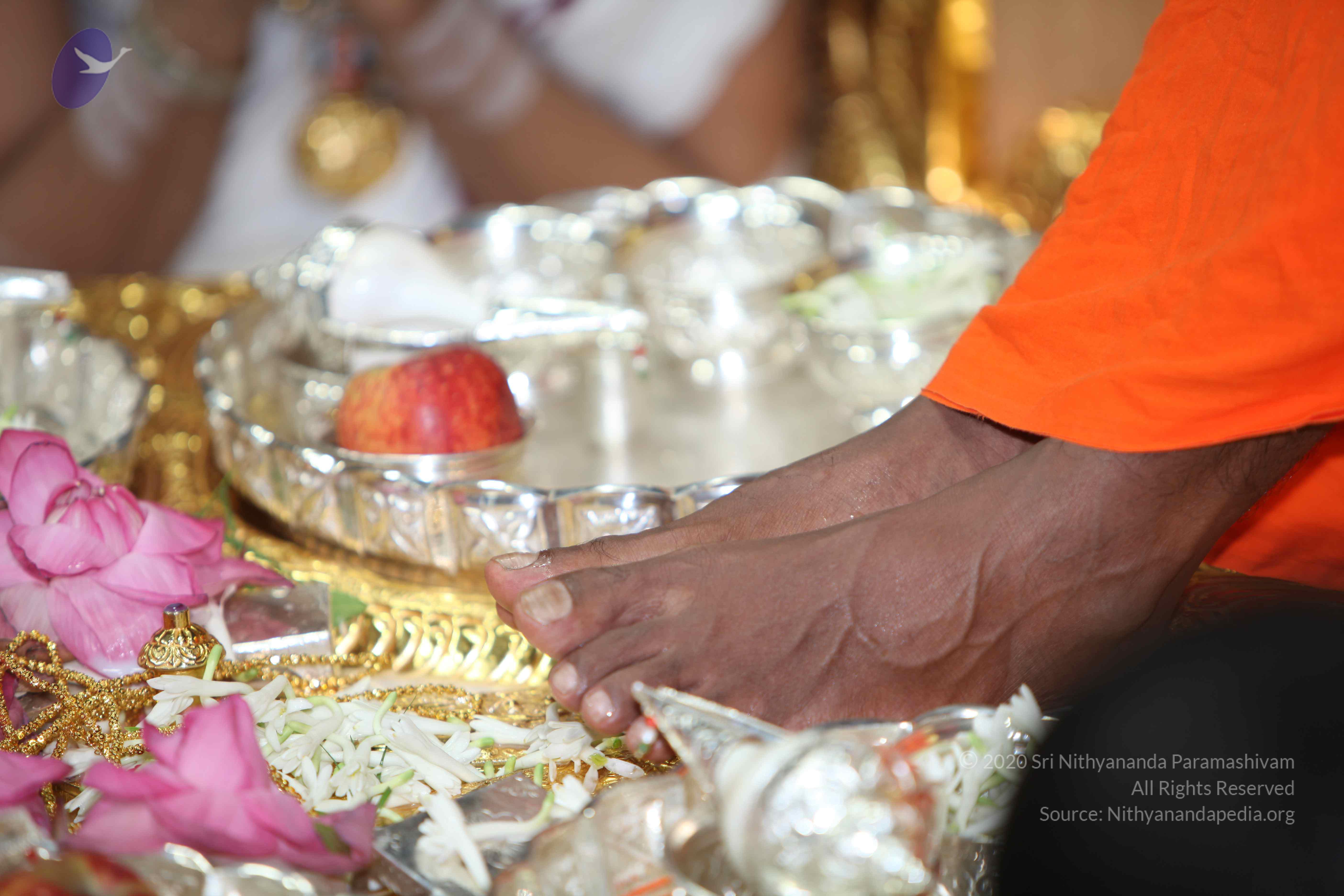 20101019_Photo_1087_IMG_2634_CMP_WM