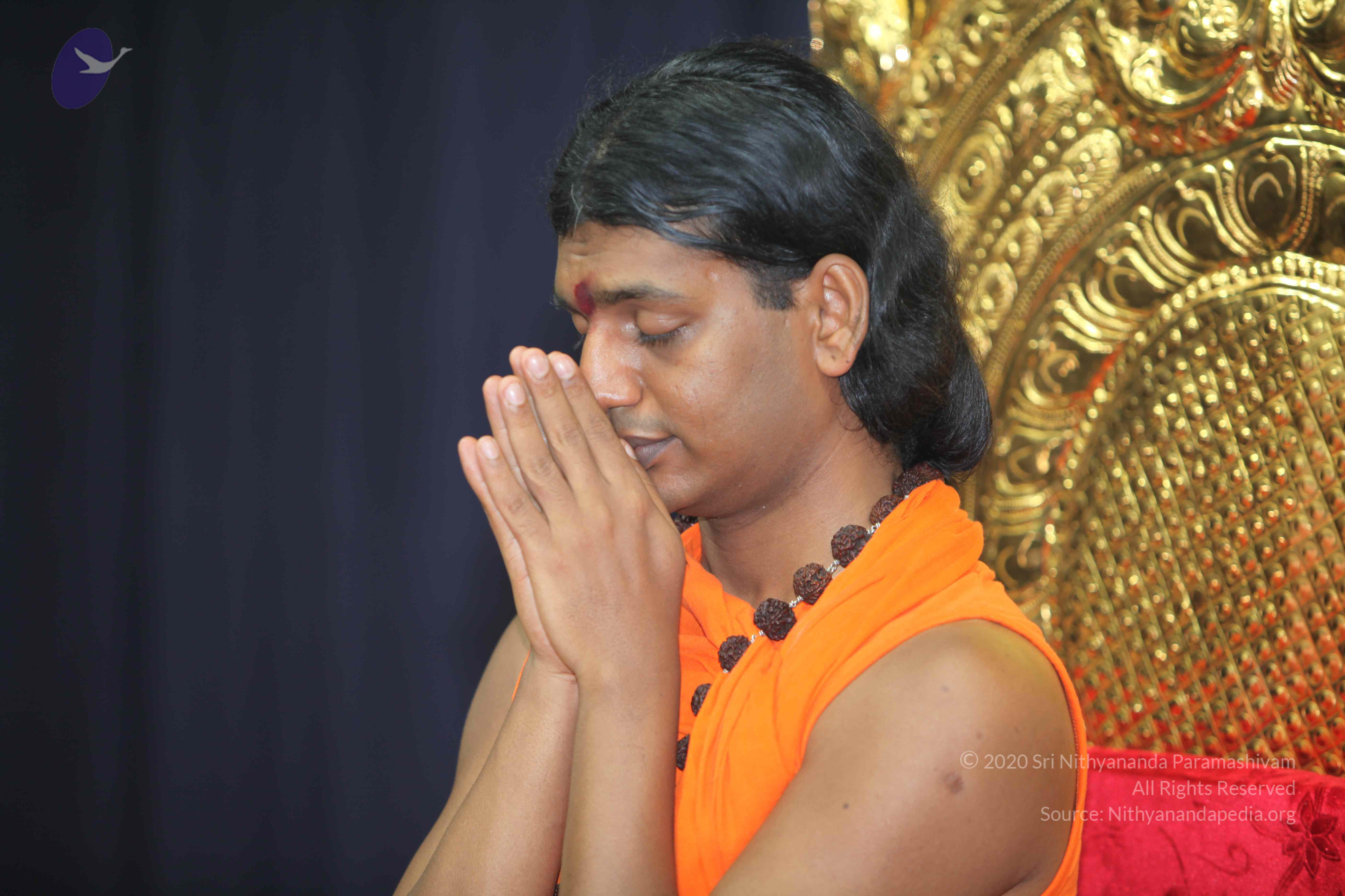 20101019_Photo_1096_IMG_2712_CMP_WM