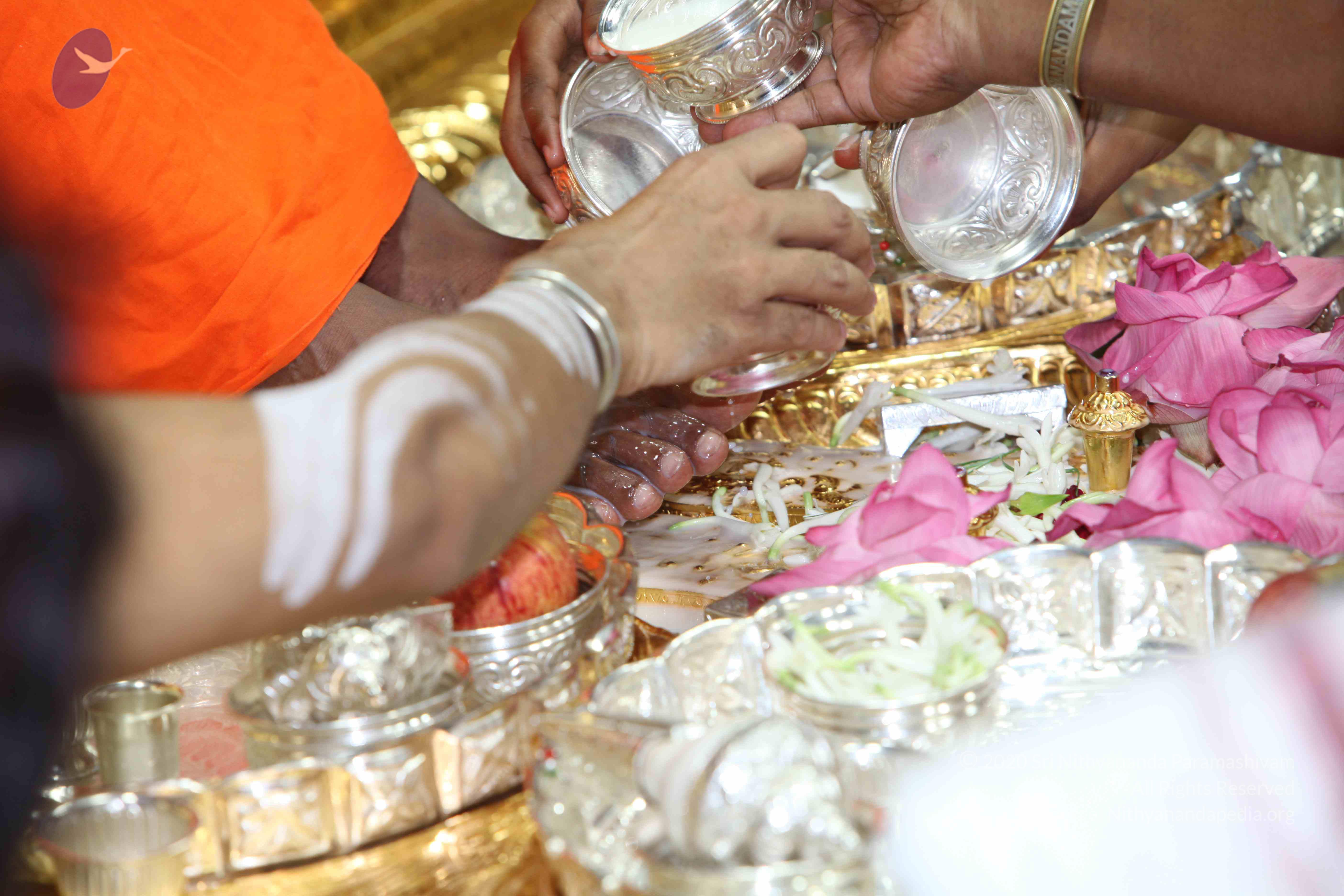 20101019_Photo_1103_IMG_2617_CMP_WM