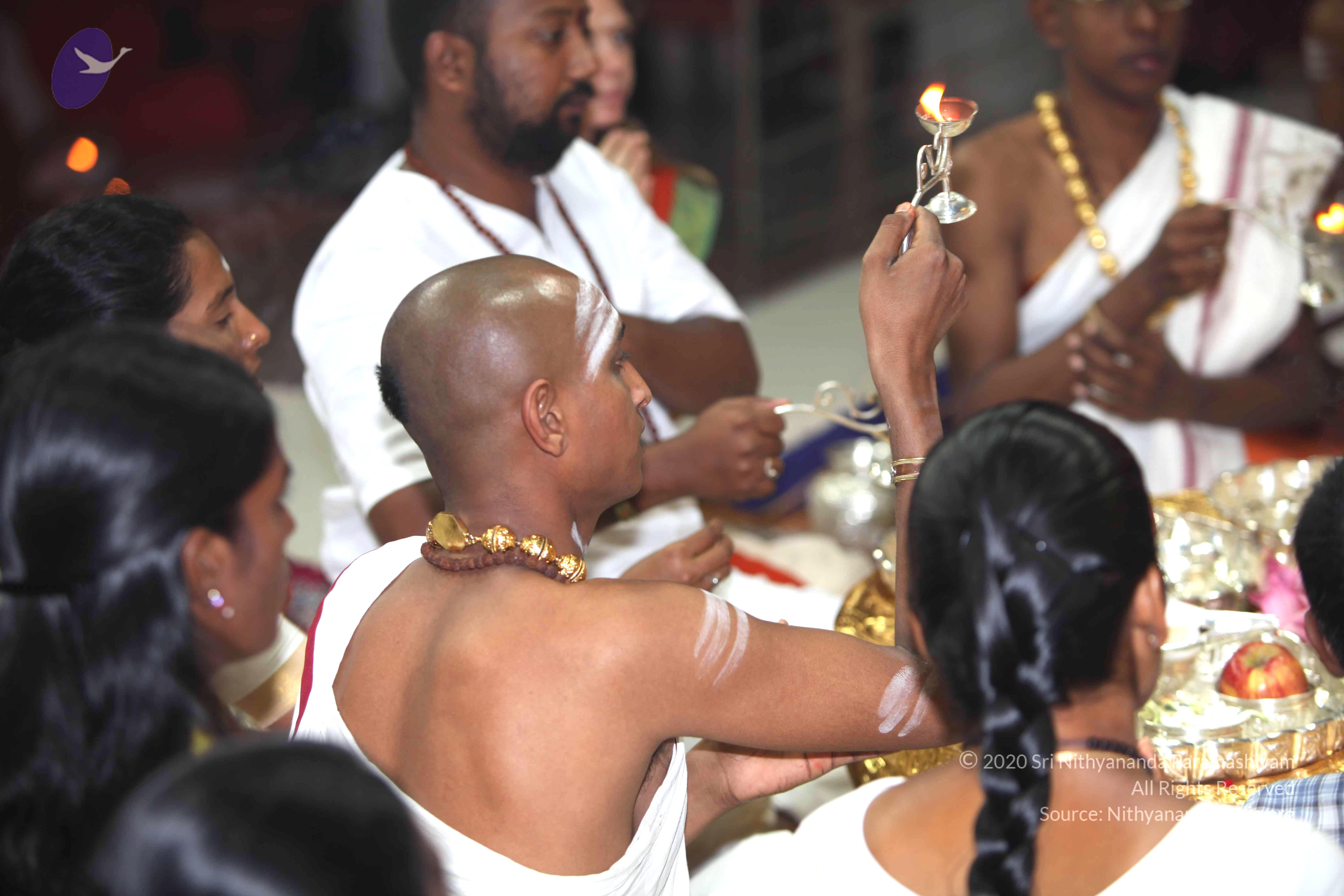 20101019_Photo_1108_IMG_2696_CMP_WM