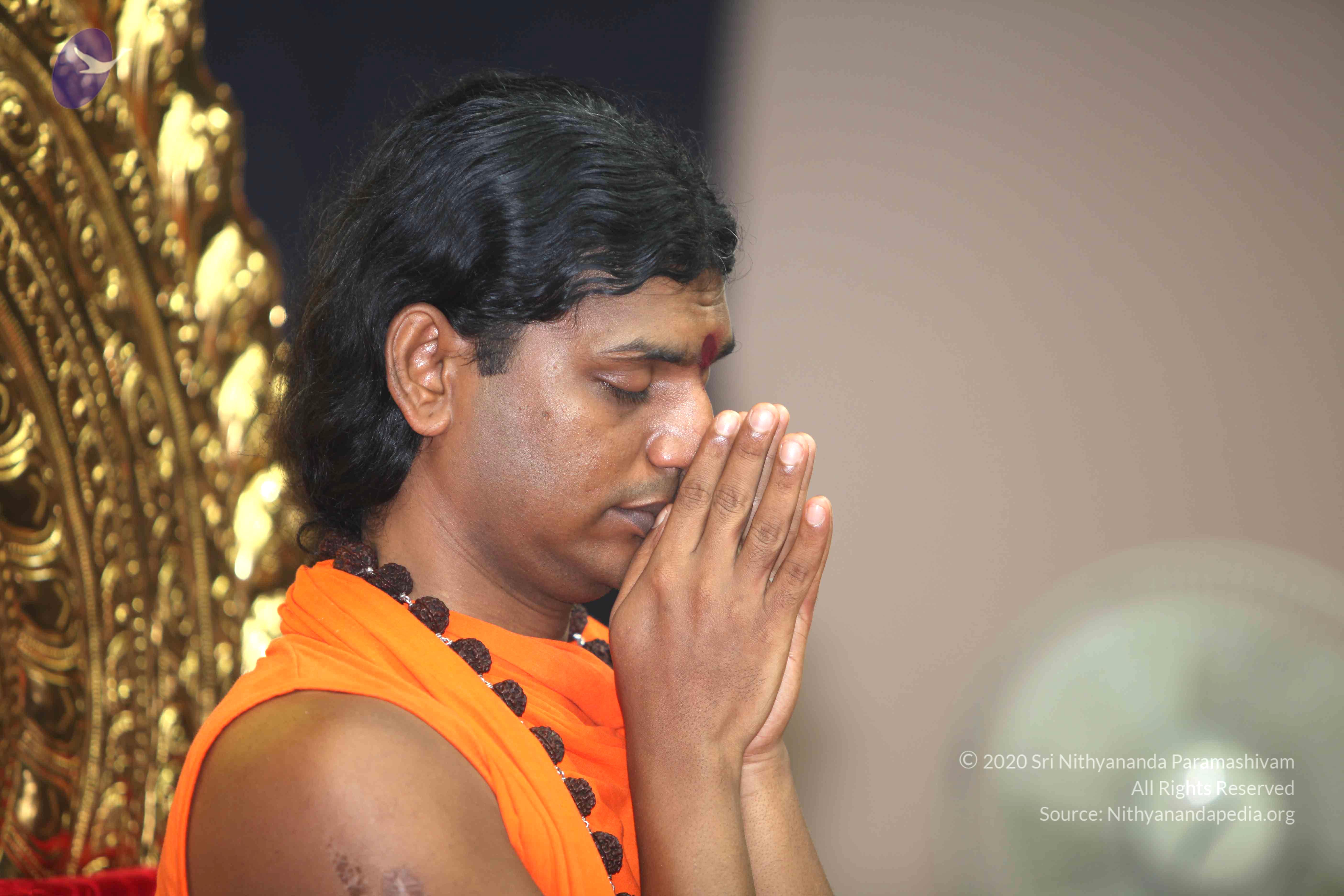 20101019_Photo_1115_IMG_2704_CMP_WM