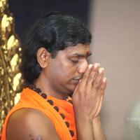 20101019_Photo_1115_IMG_2704_CMP_WM