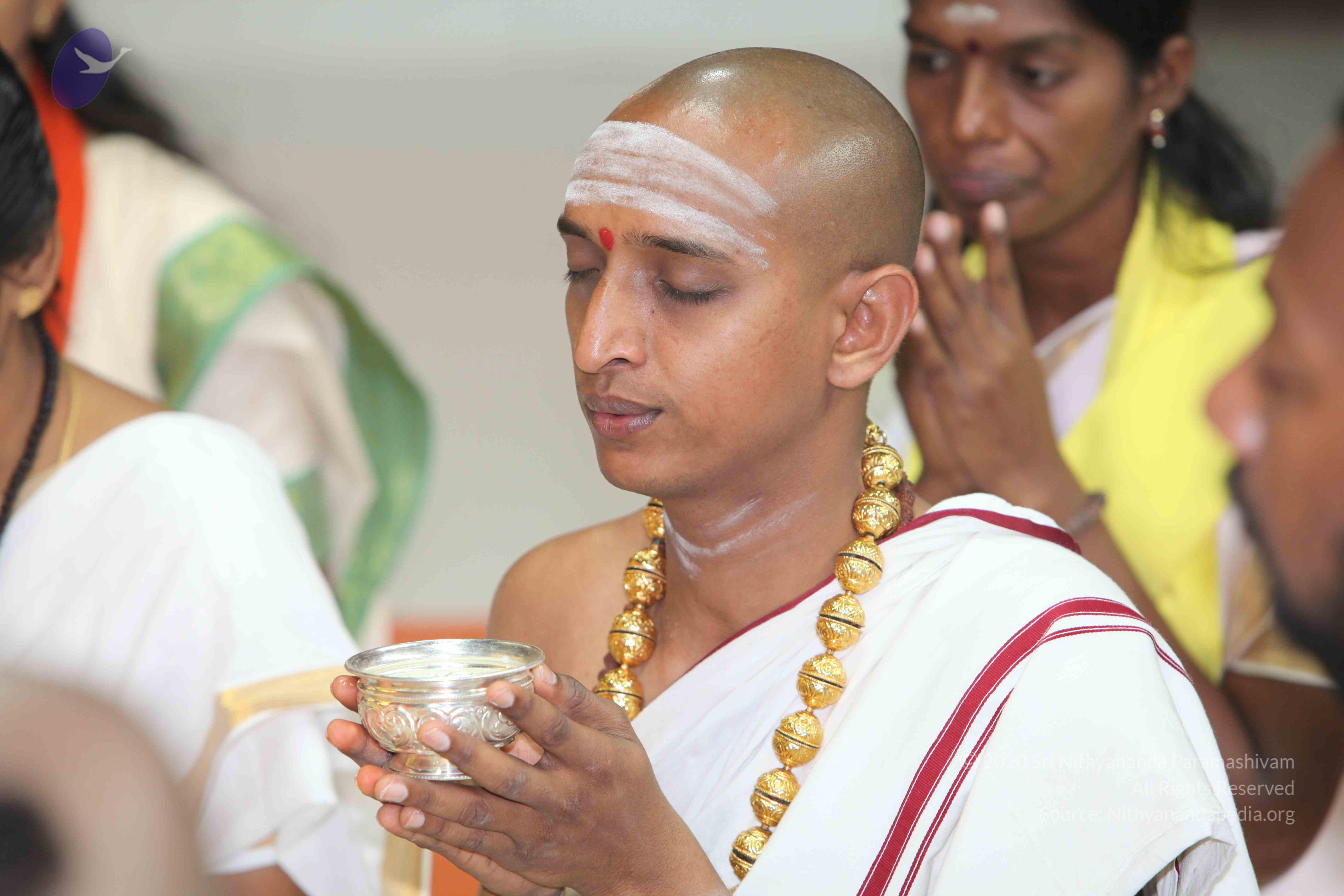 20101019_Photo_1117_IMG_2610_CMP_WM