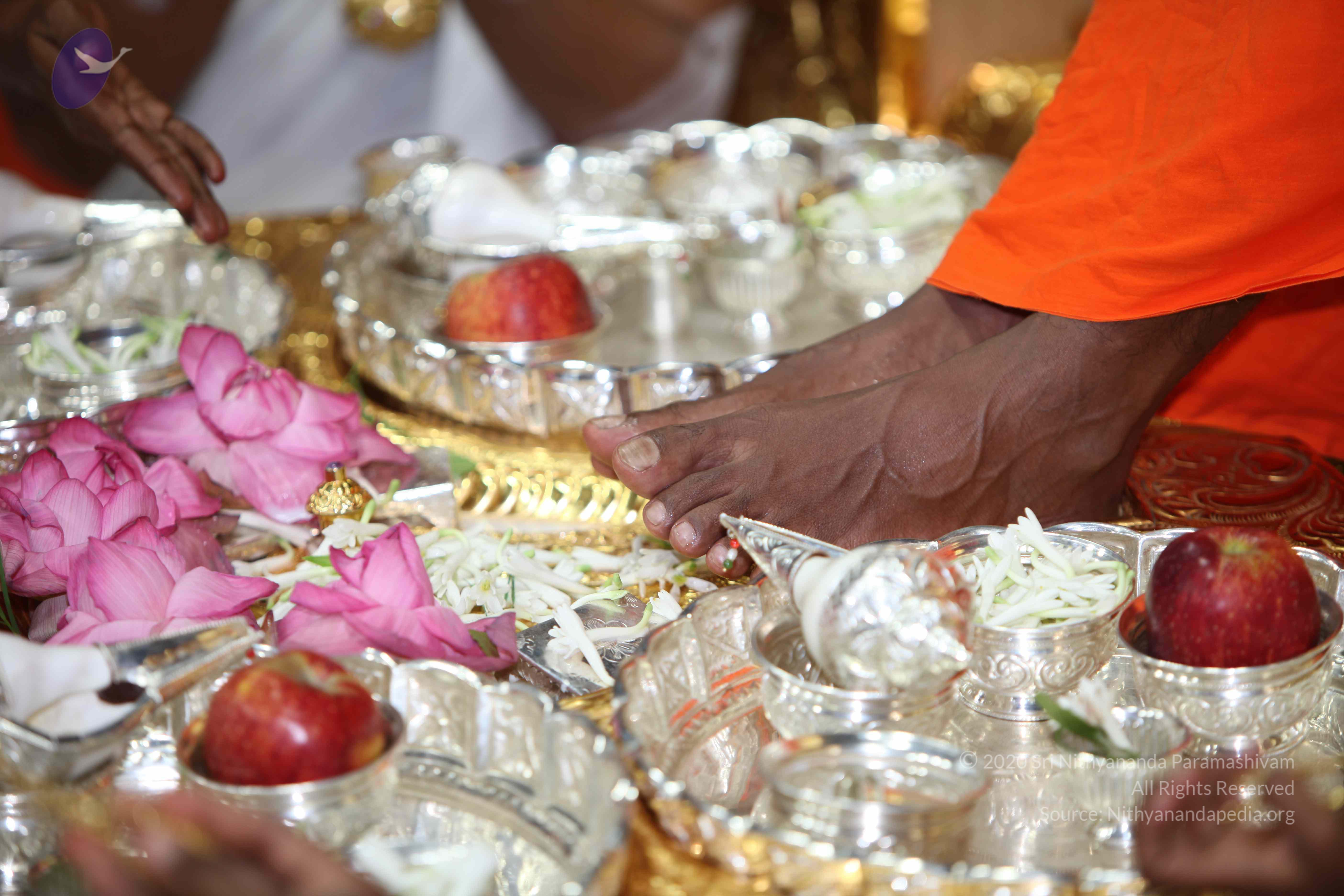 20101019_Photo_1118_IMG_2627_CMP_WM