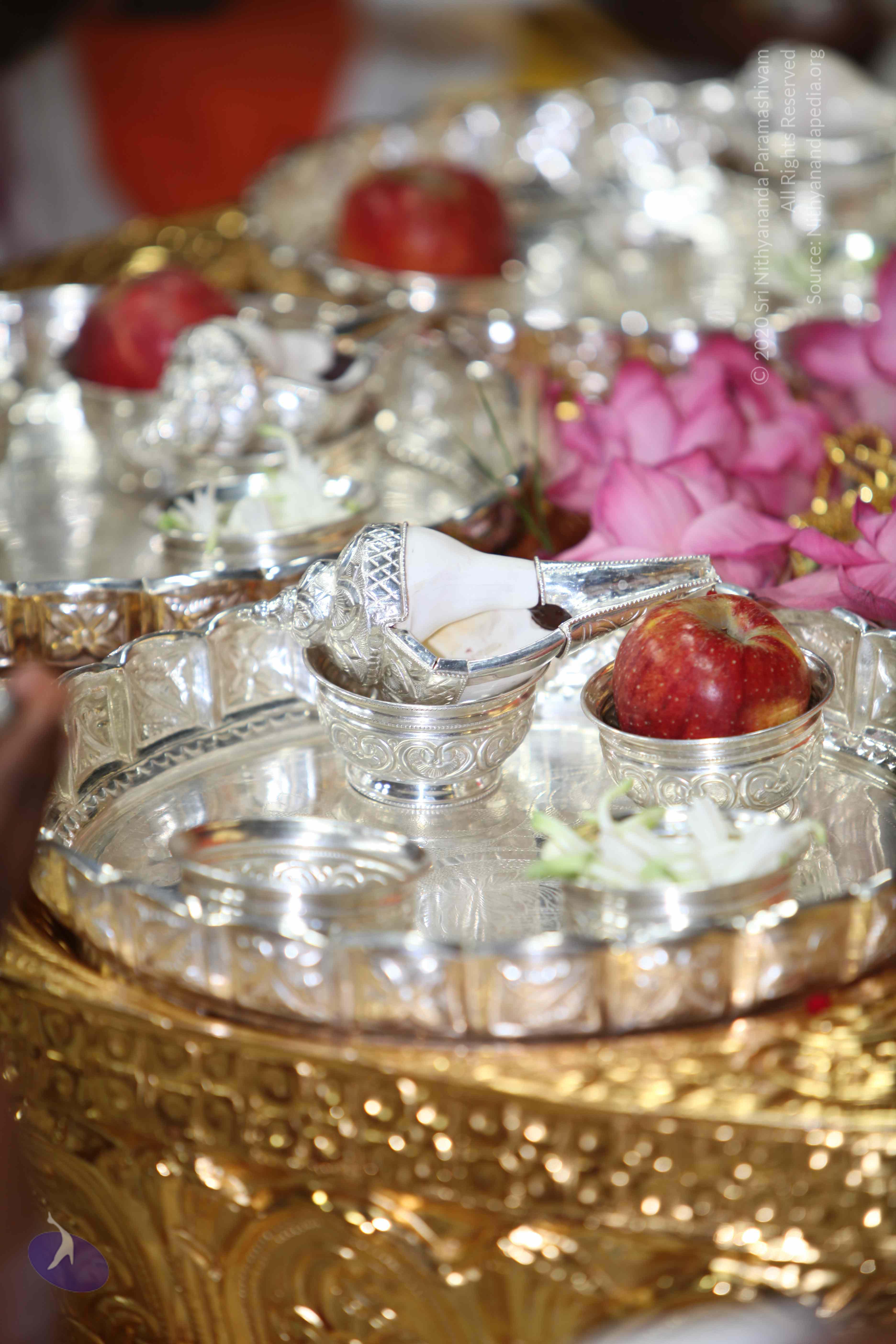 20101019_Photo_1119_IMG_2636_CMP_WM