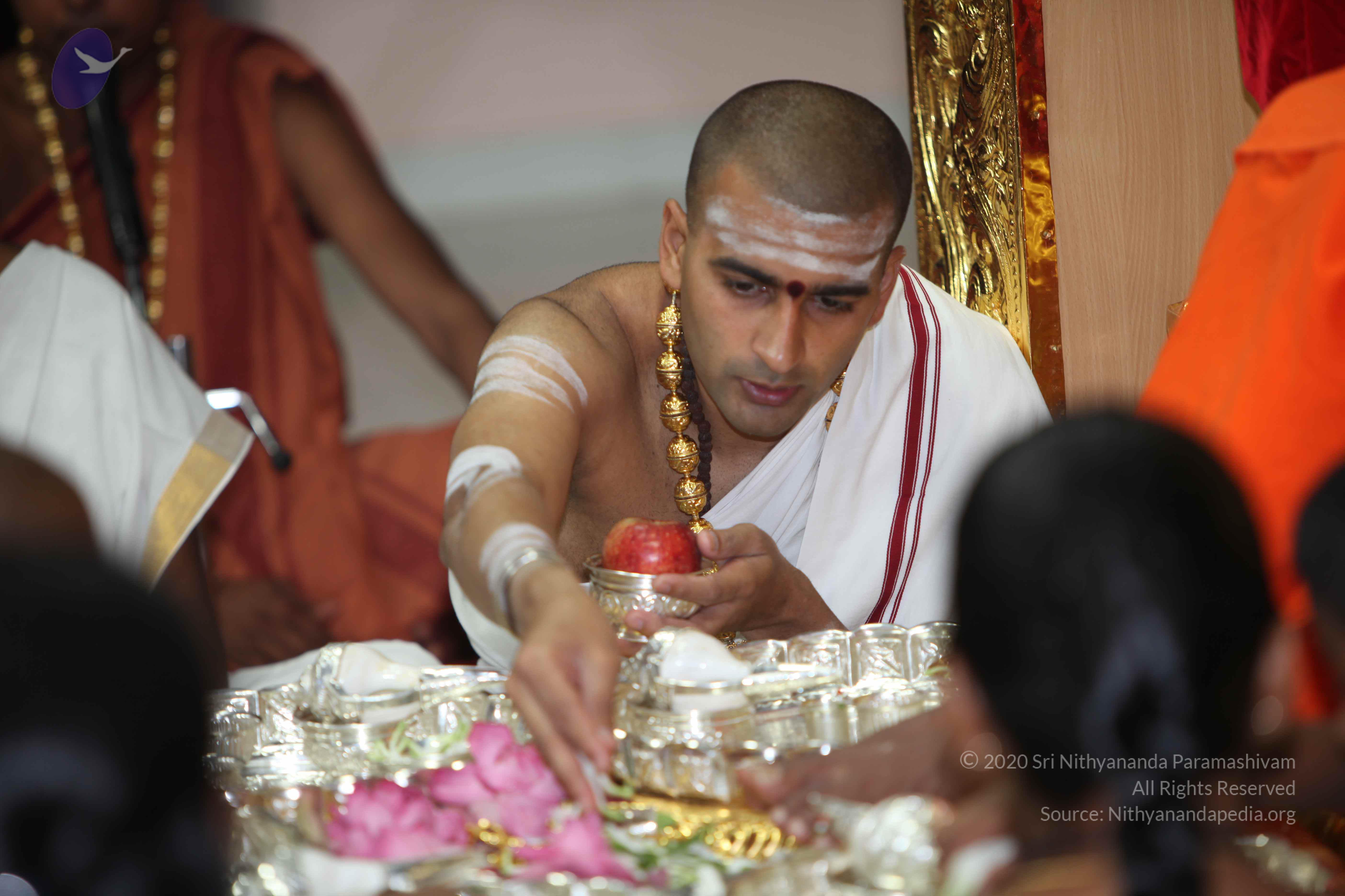 20101019_Photo_1124_IMG_2663_CMP_WM