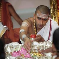 20101019_Photo_1124_IMG_2663_CMP_WM