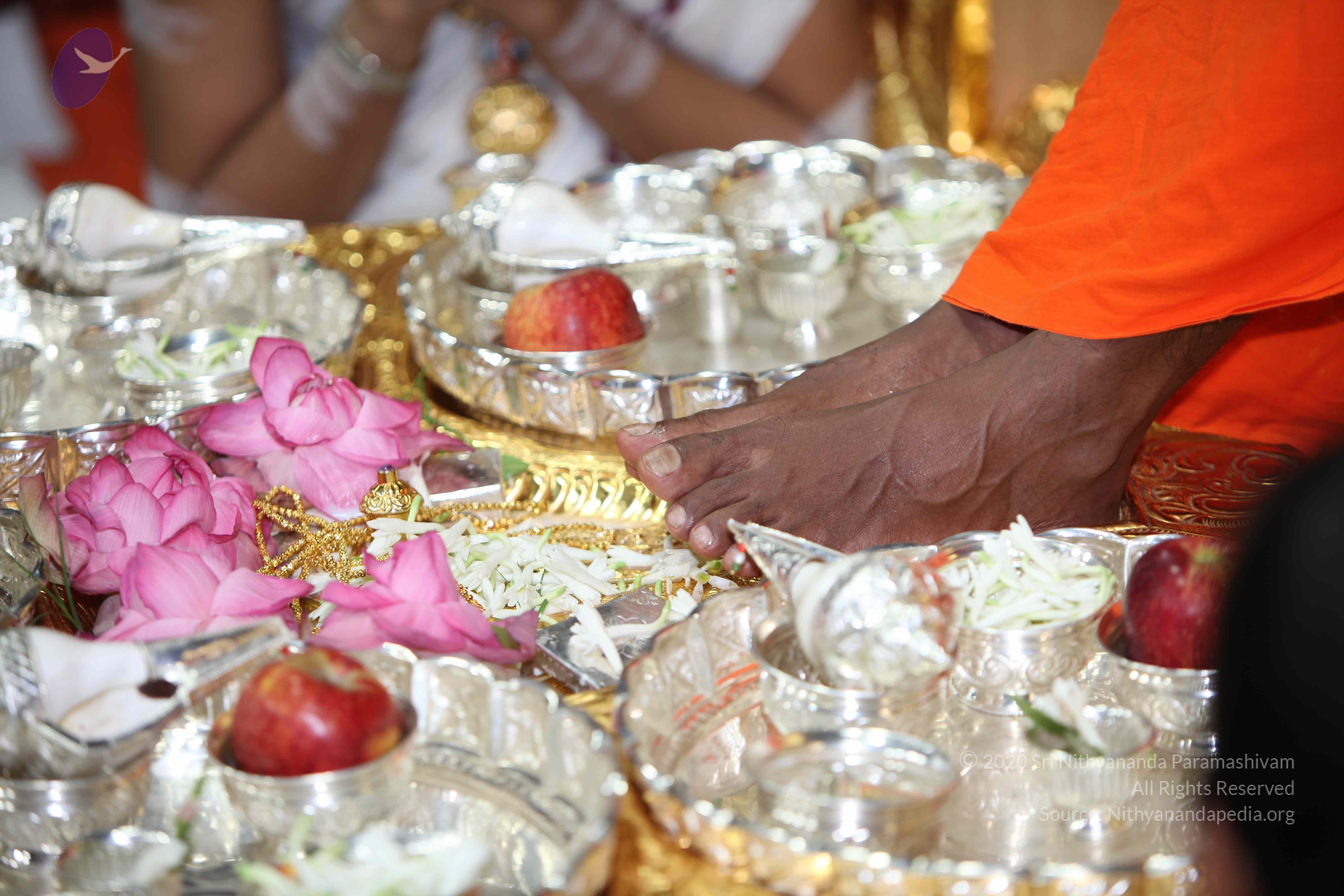 20101019_Photo_1134_IMG_2633_CMP_WM