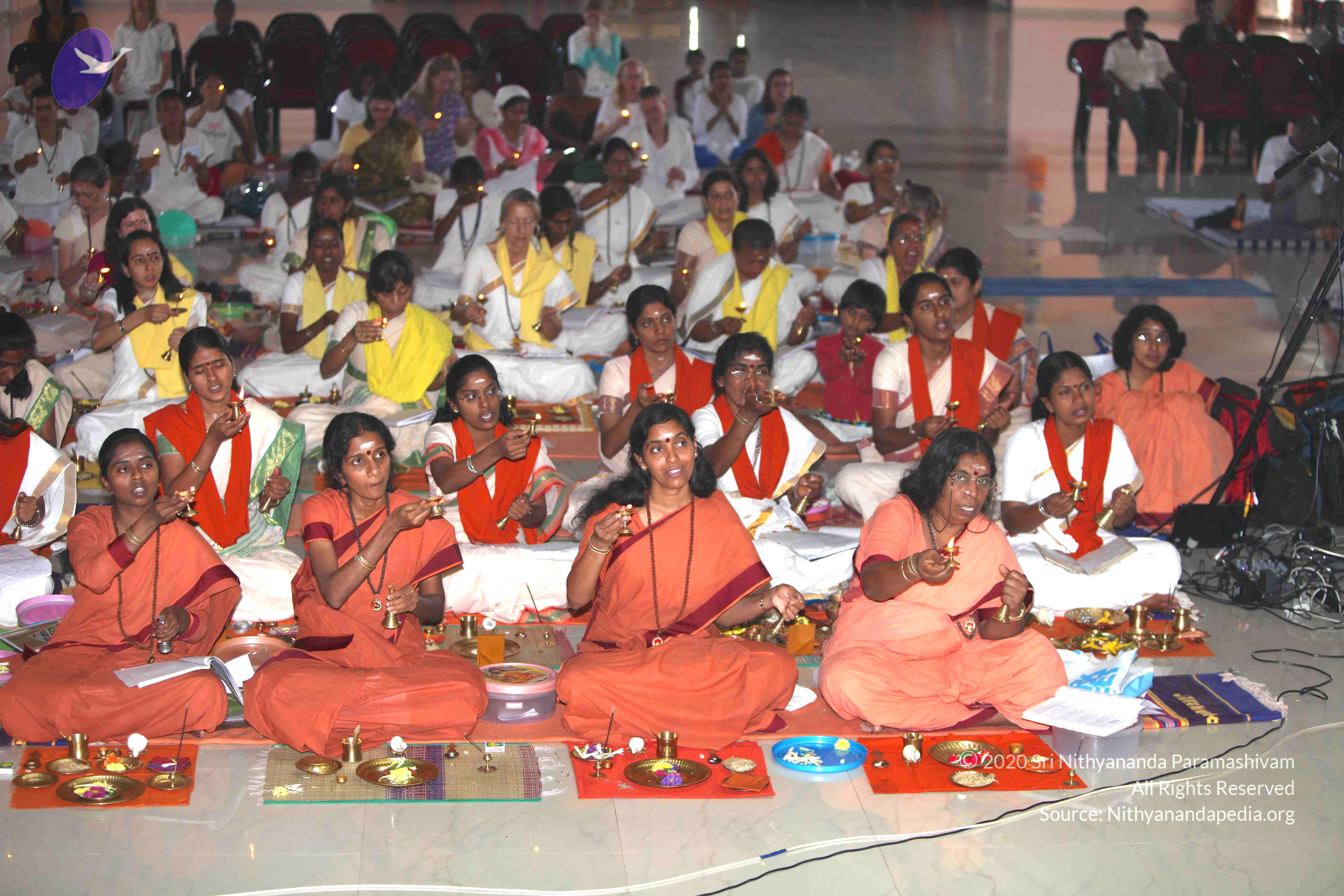 20101019_Photo_1136_IMG_2651_CMP_WM