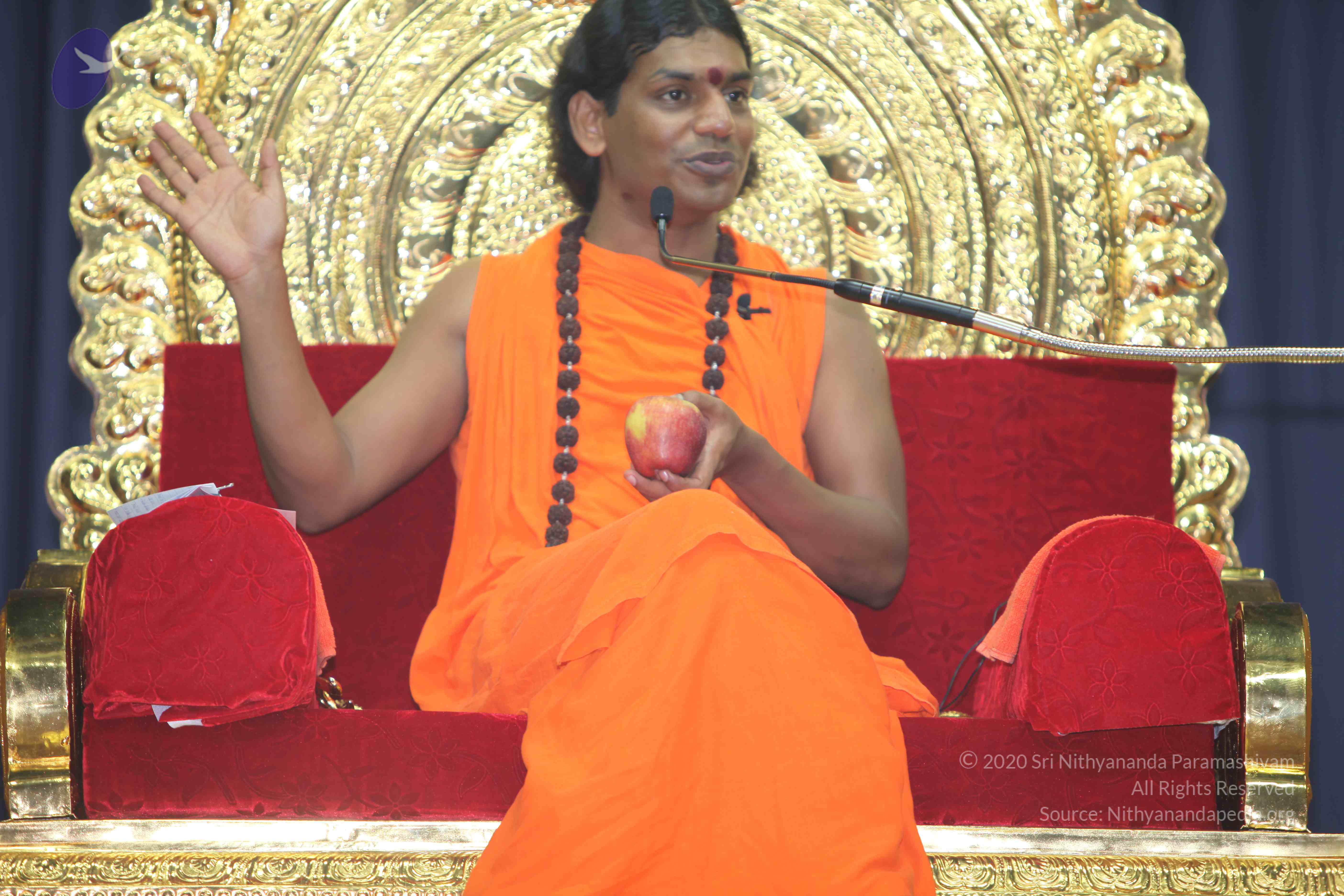 20101019_Photo_1002_IMG_2817_CMP_WM