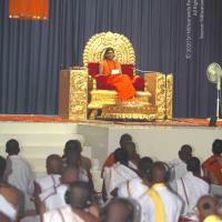 20101019_Photo_1009_IMG_2765_CMP_WM