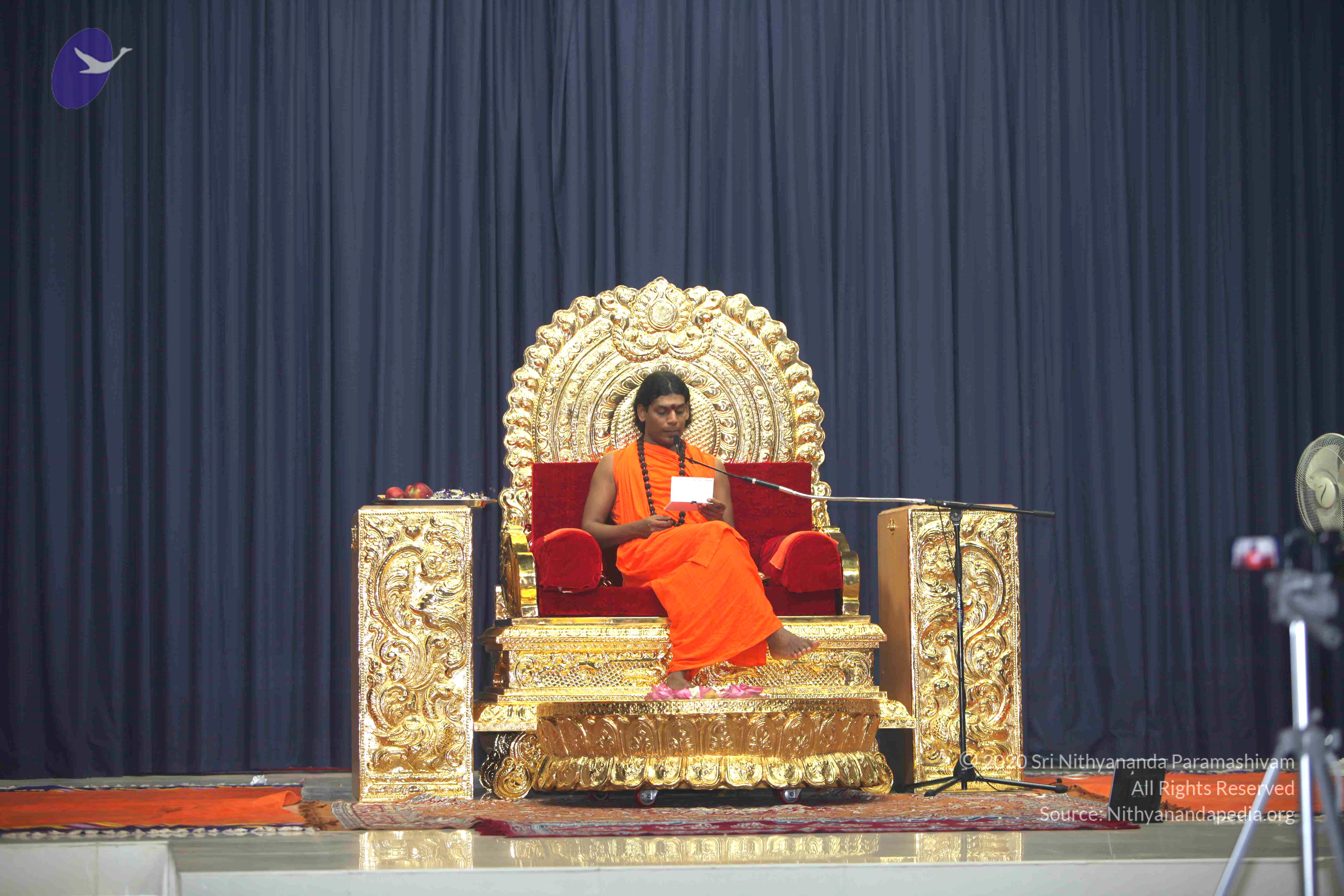 20101019_Photo_1023_IMG_2755_CMP_WM