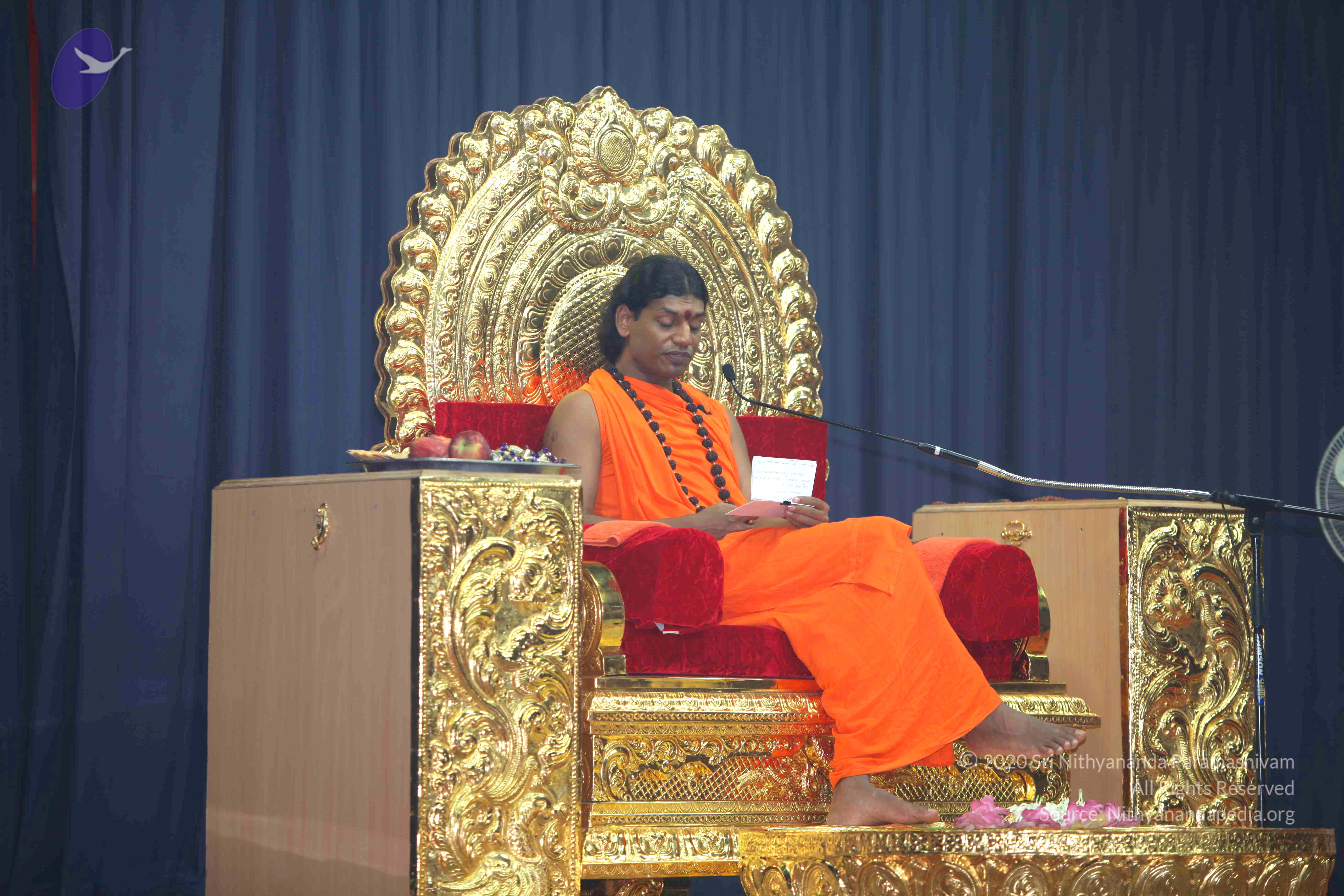 20101019_Photo_1031_IMG_2776_CMP_WM