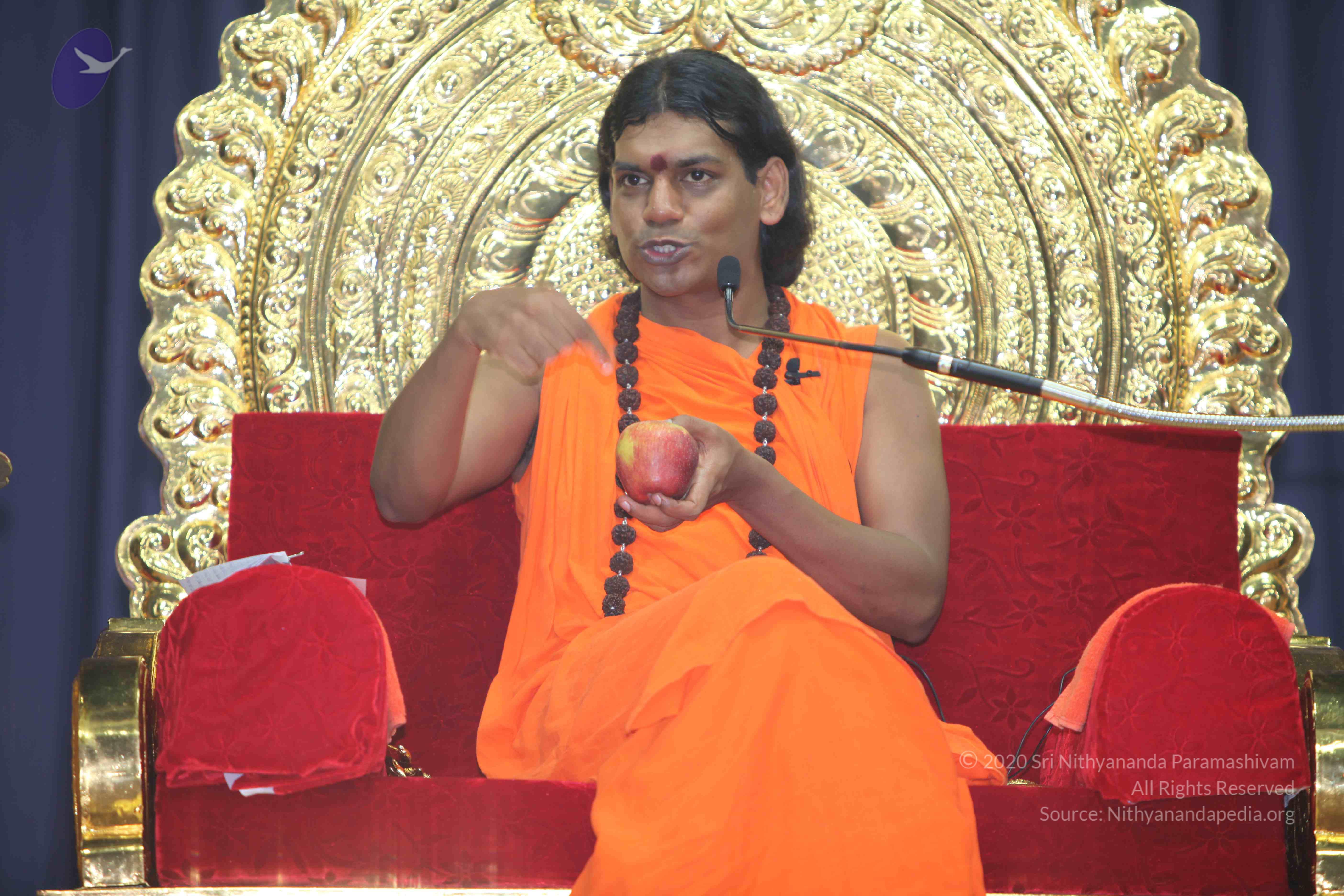 20101019_Photo_1055_IMG_2811_CMP_WM