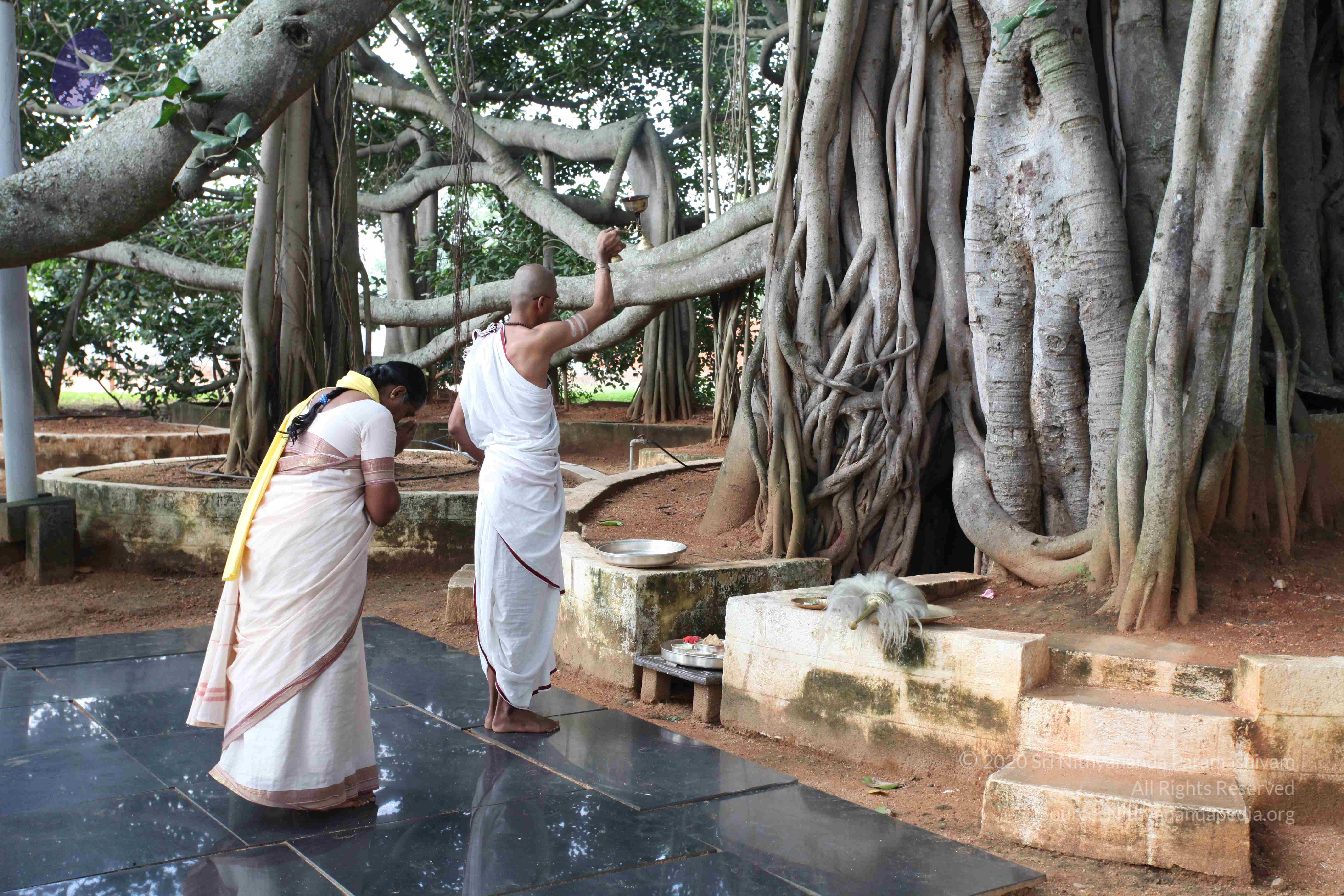 20101019_Photo_1003_IMG_2527_CMP_WM