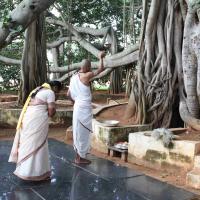 20101019_Photo_1003_IMG_2527_CMP_WM