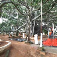 20101019_Photo_1013_IMG_2540_CMP_WM