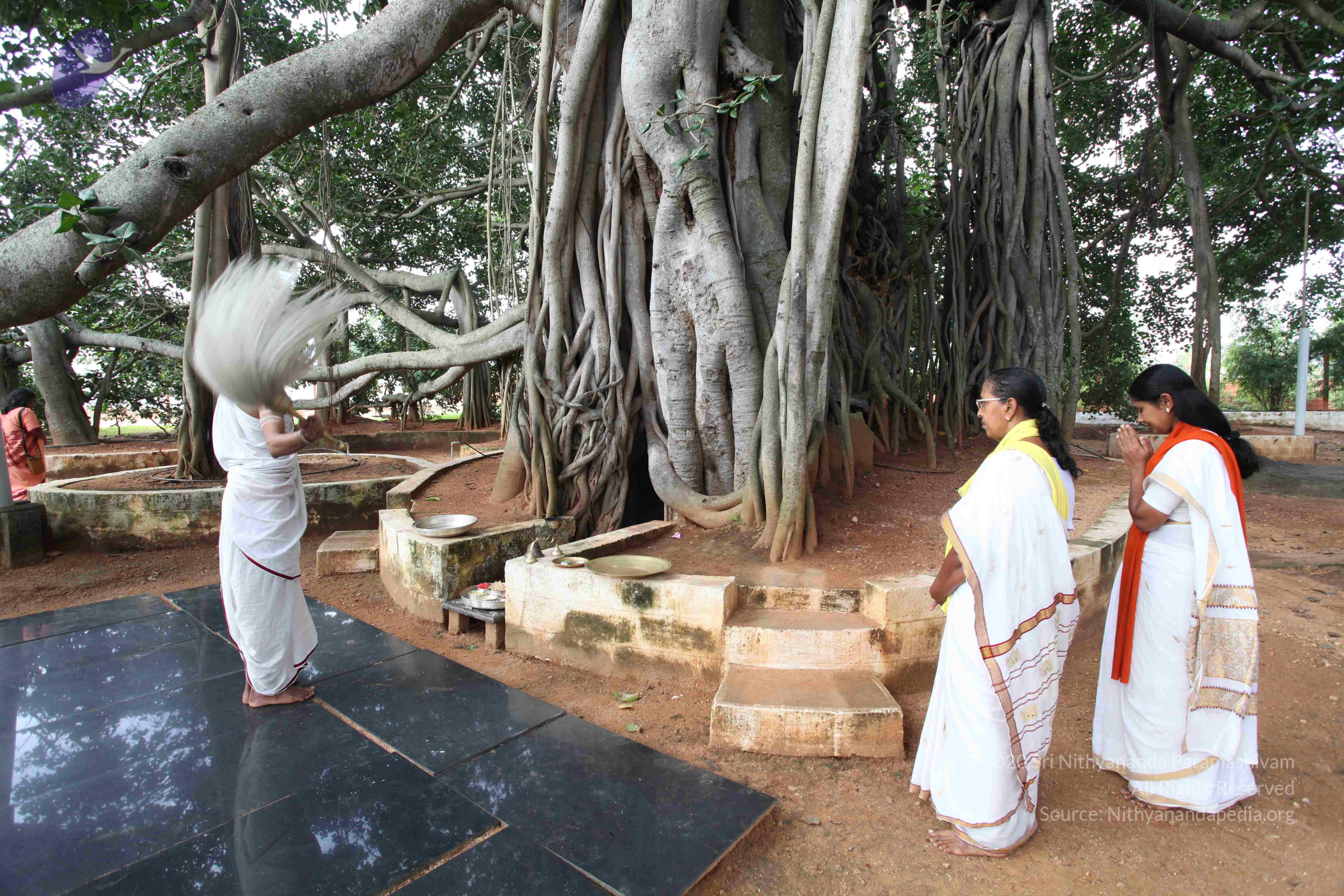 20101019_Photo_1018_IMG_2539_CMP_WM