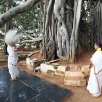 20101019_Photo_1018_IMG_2539_CMP_WM