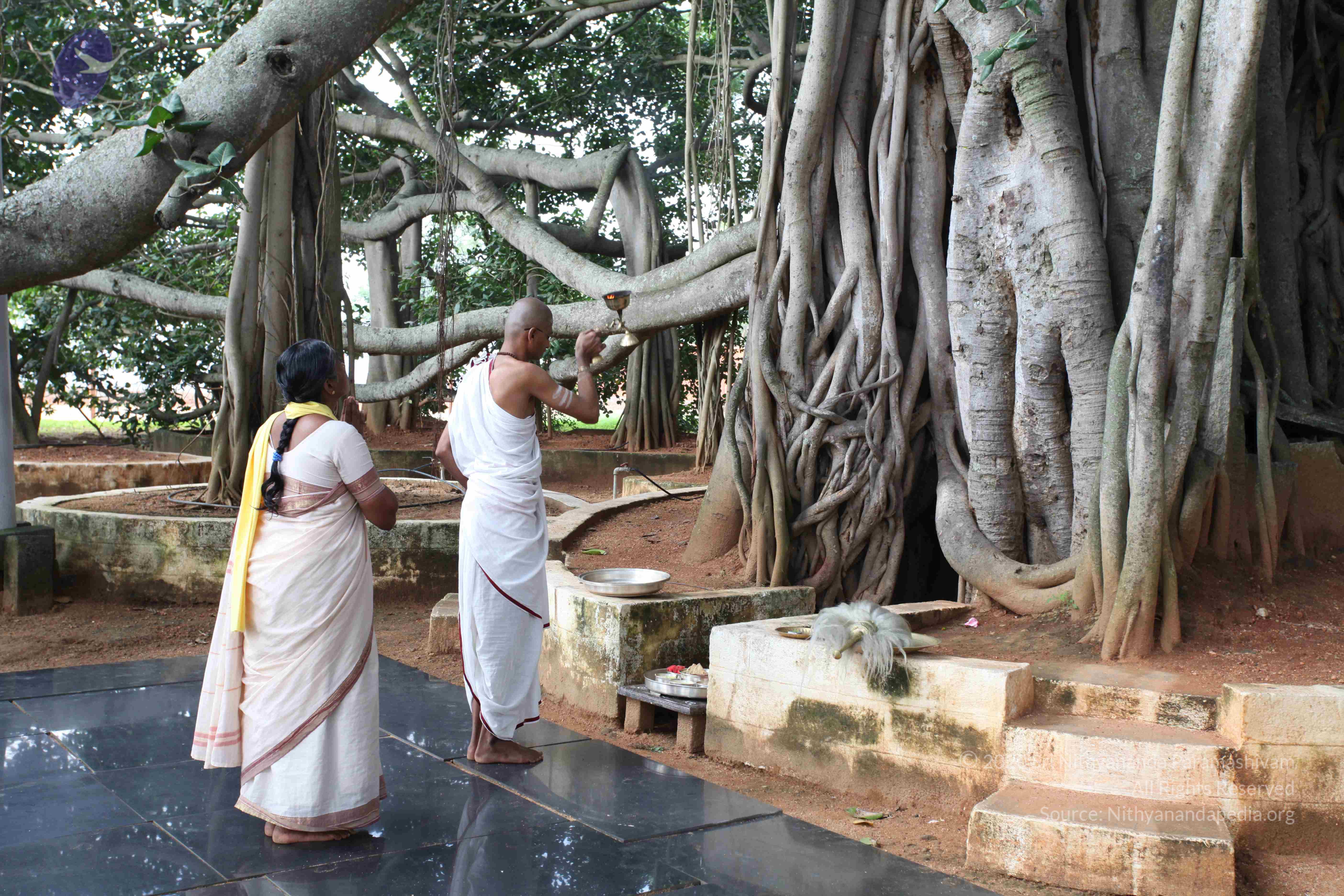 20101019_Photo_1025_IMG_2528_CMP_WM