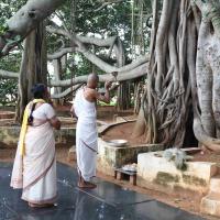 20101019_Photo_1025_IMG_2528_CMP_WM