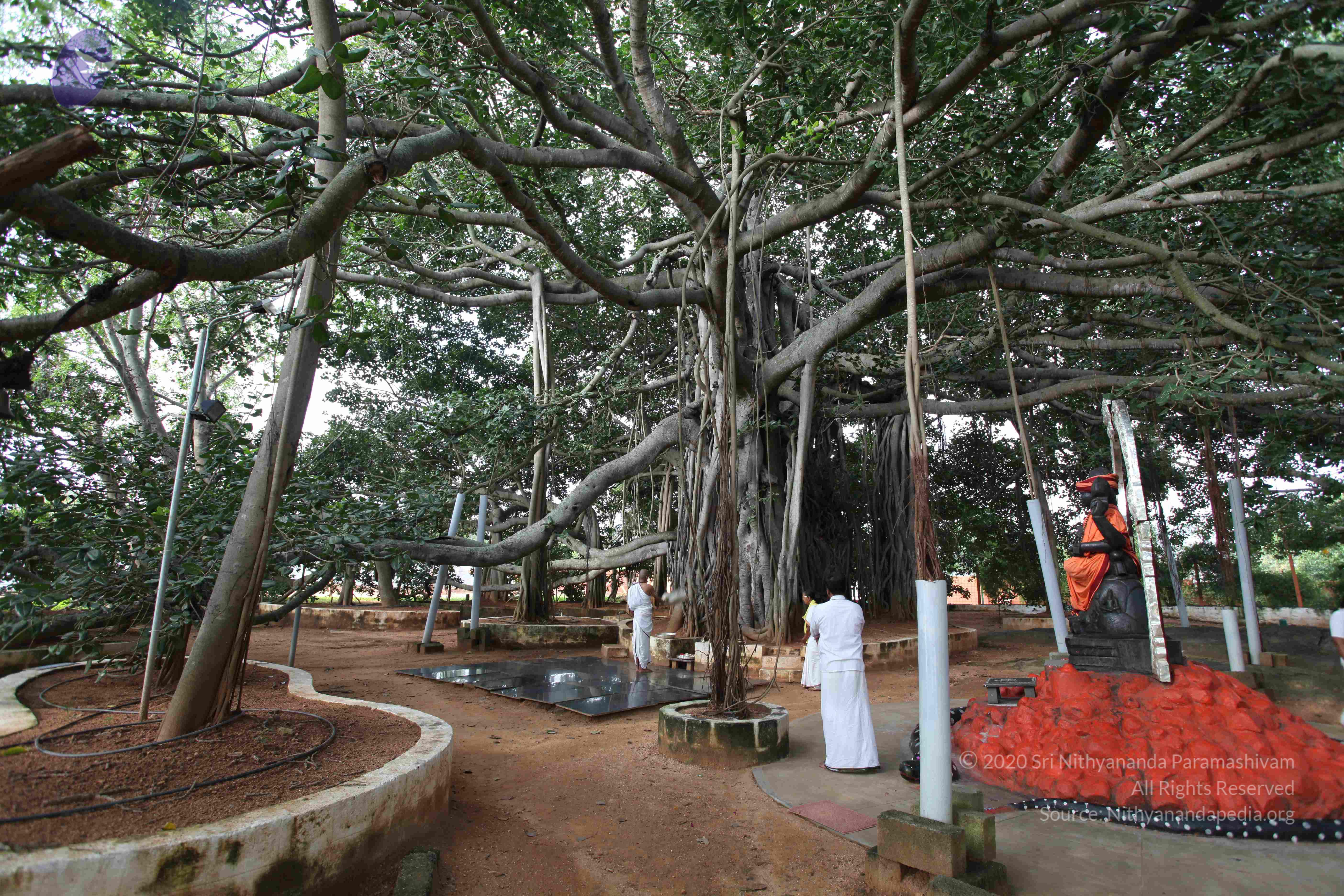 20101019_Photo_1038_IMG_2541_CMP_WM