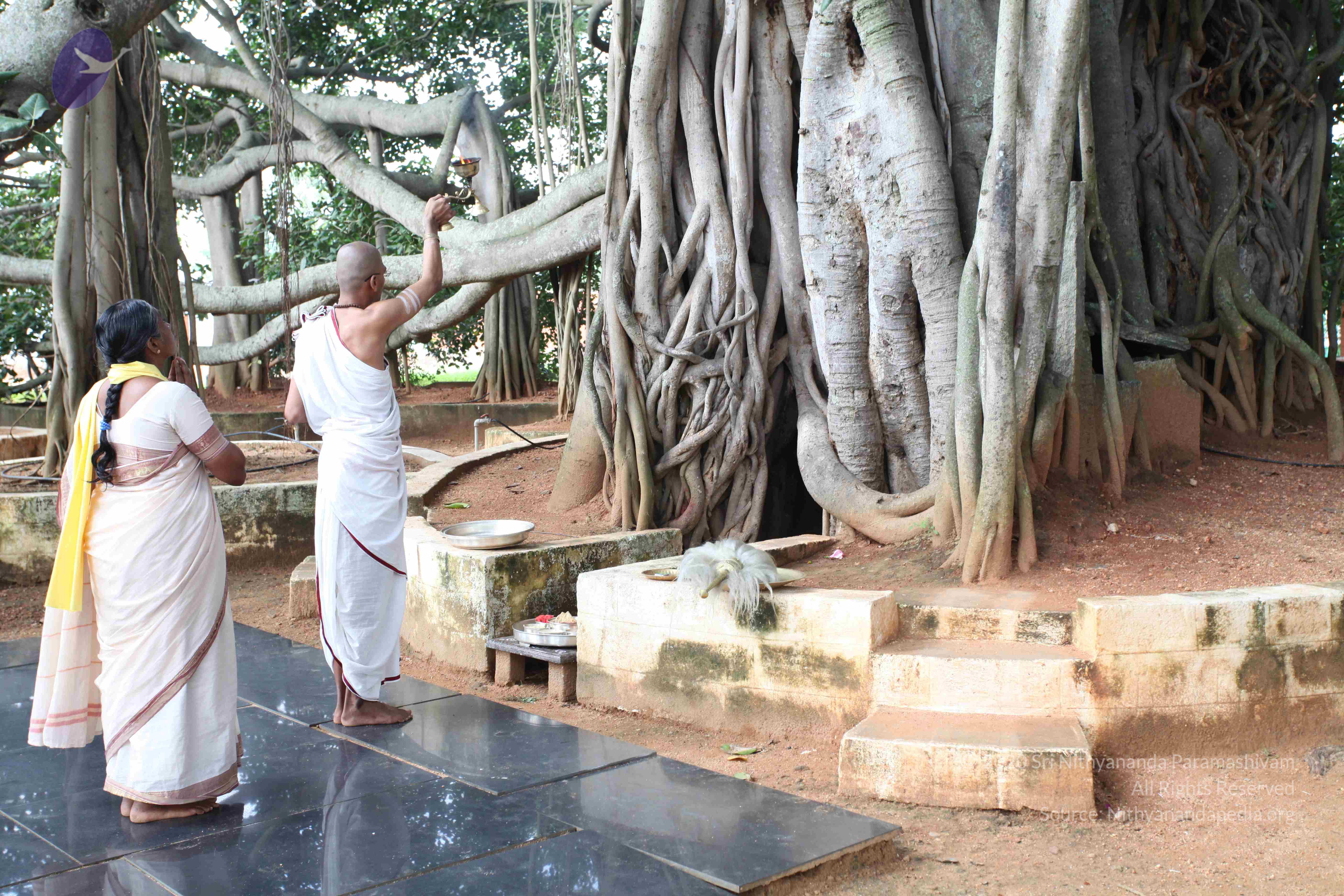 20101019_Photo_1046_IMG_2526_CMP_WM