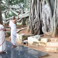 20101019_Photo_1046_IMG_2526_CMP_WM