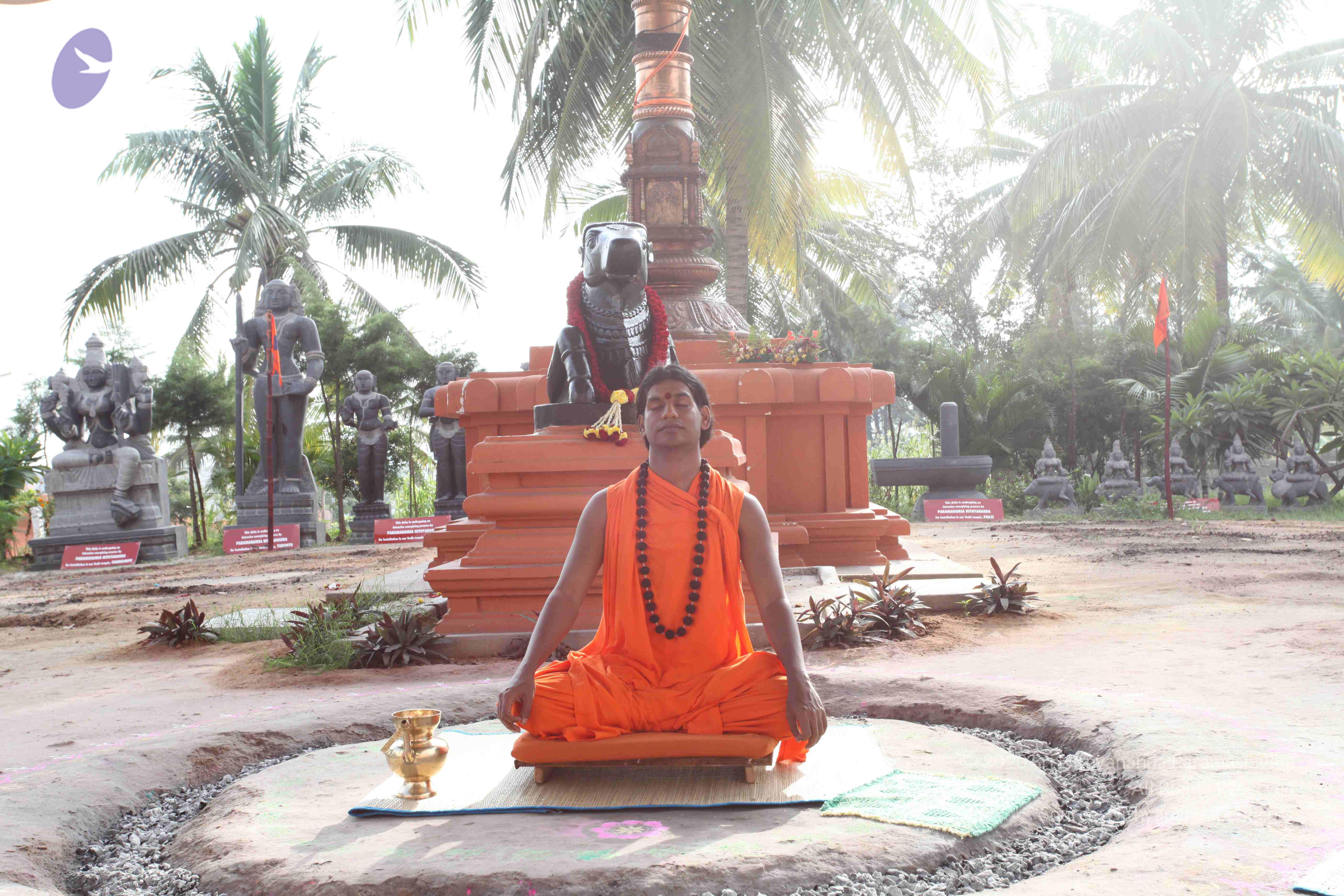 20101019_Photo_1047_IMG_2558_CMP_WM