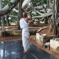 20101019_Photo_1060_IMG_2538_CMP_WM