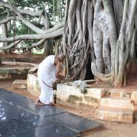 20101019_Photo_1067_IMG_2529_CMP_WM