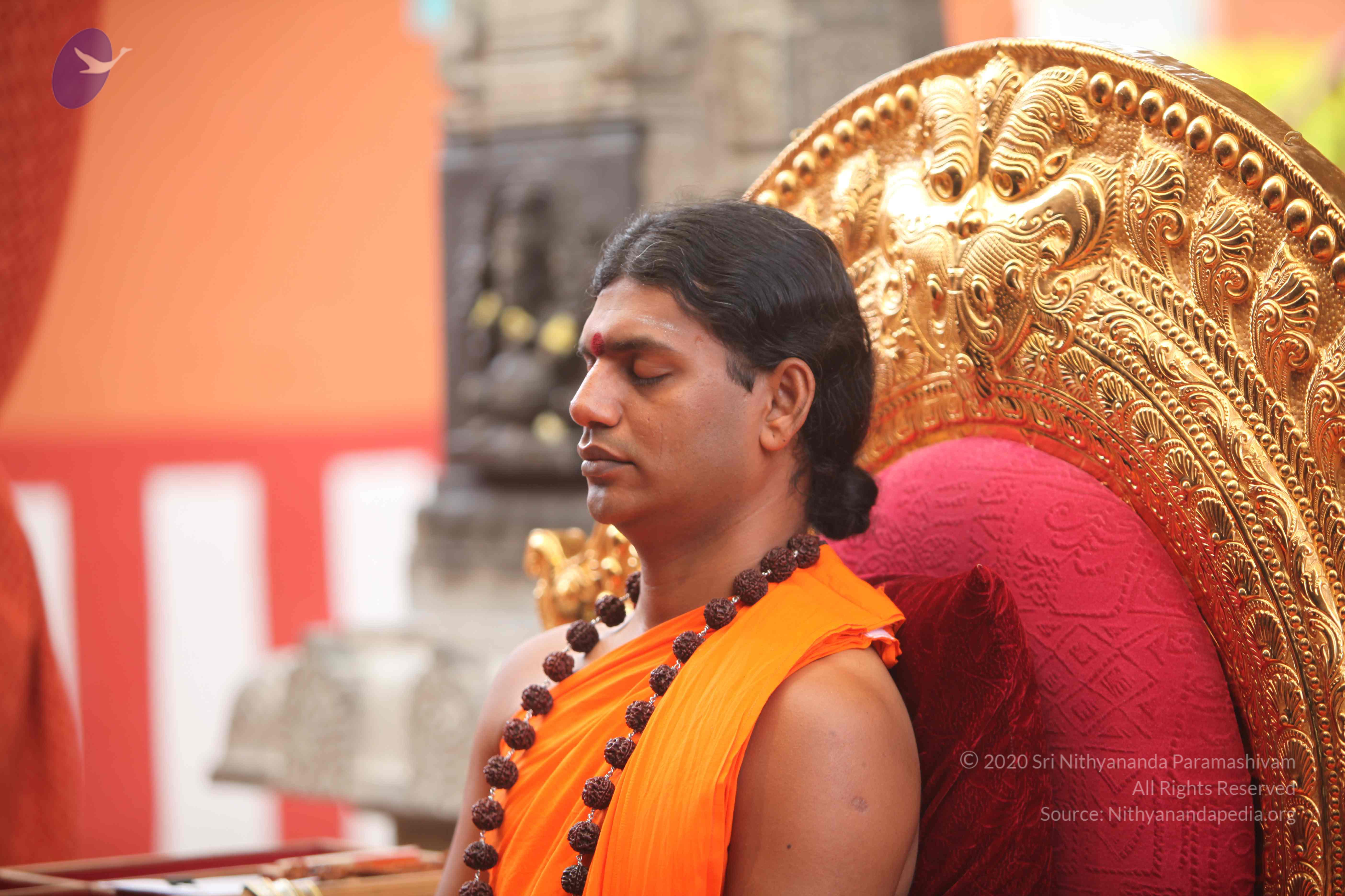 20101030_Photo_1000_IMG_7710_CMP_WM