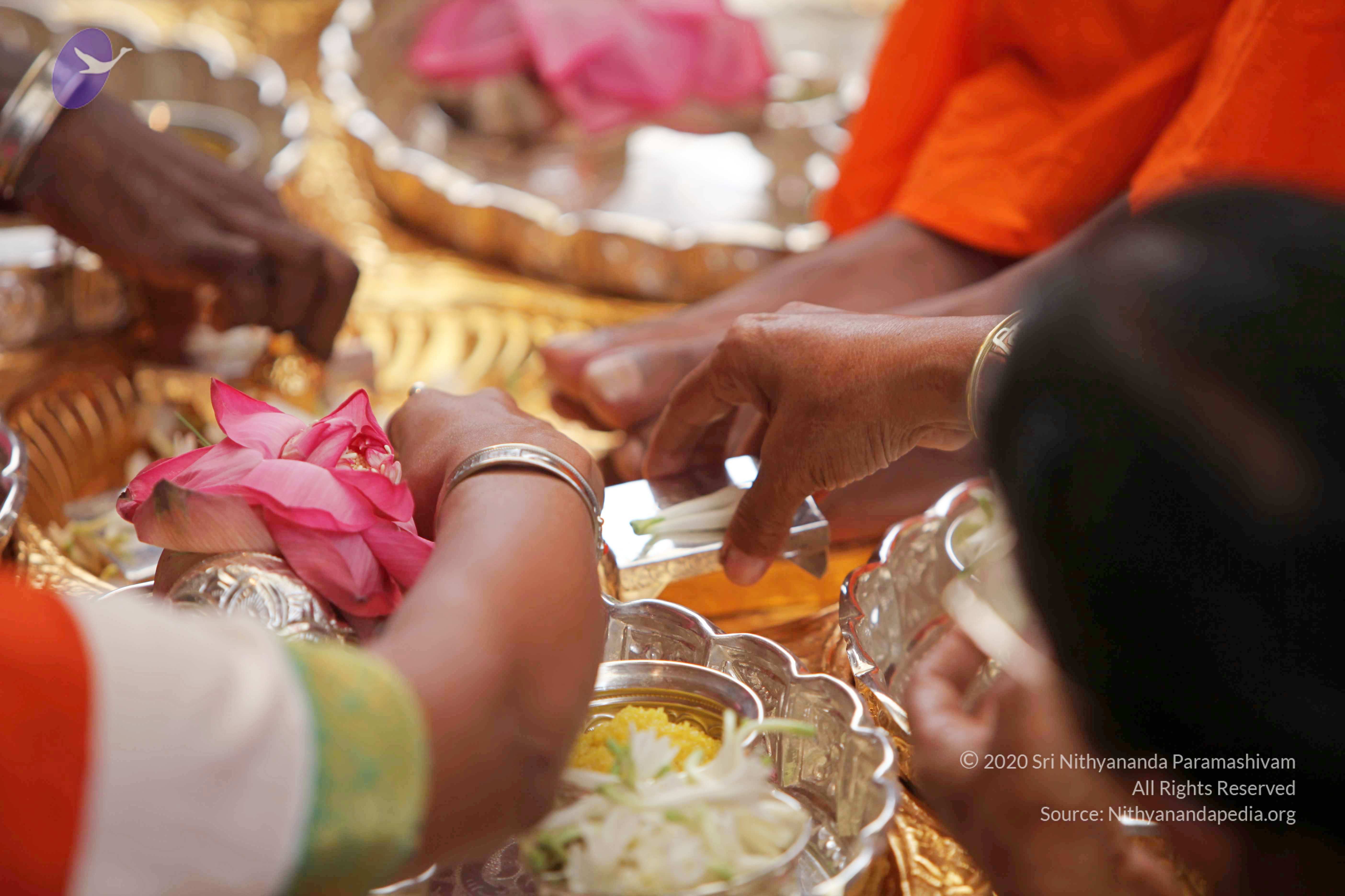 20101030_Photo_1001_IMG_7727_CMP_WM