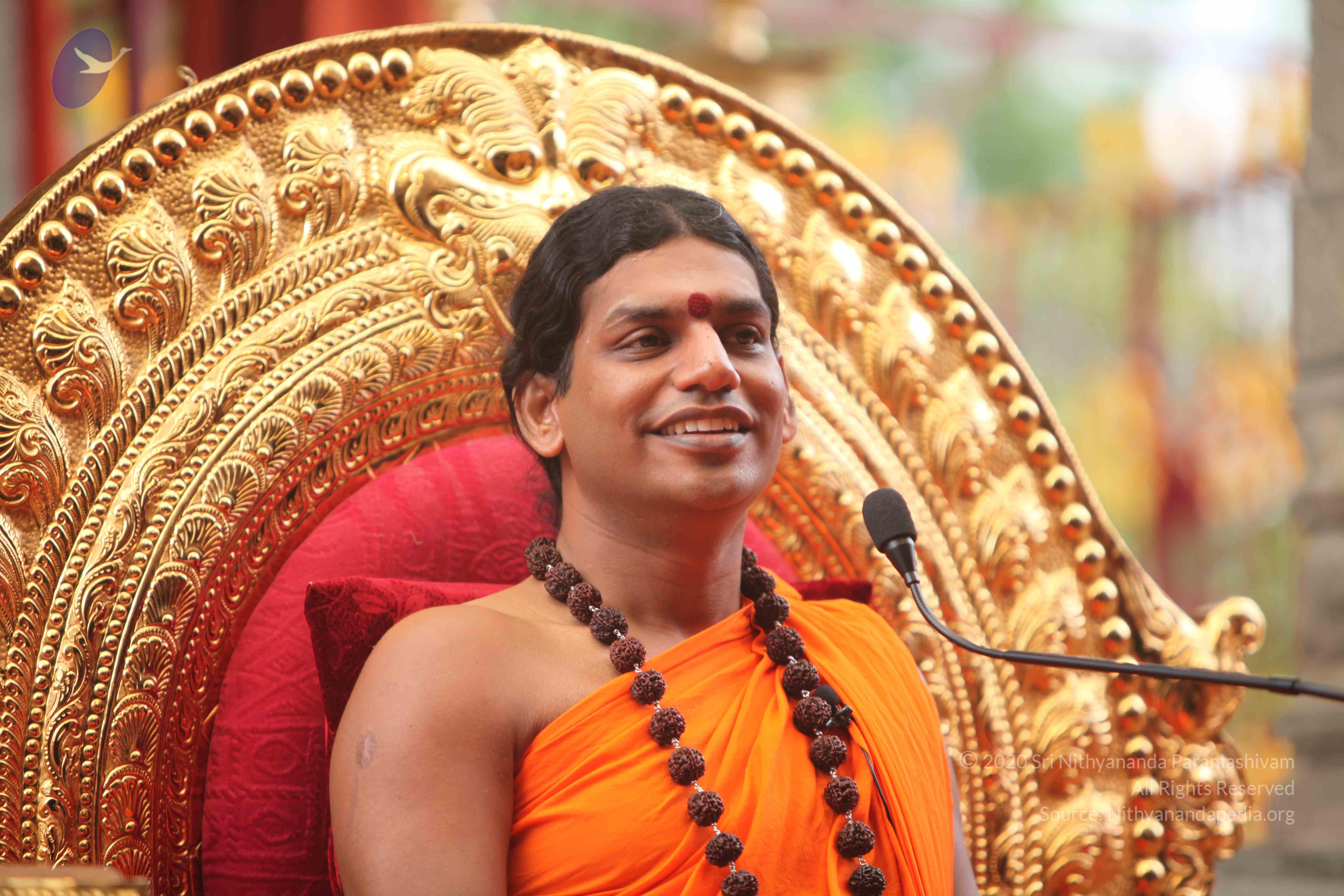 20101030_Photo_1002_IMG_7895_CMP_WM