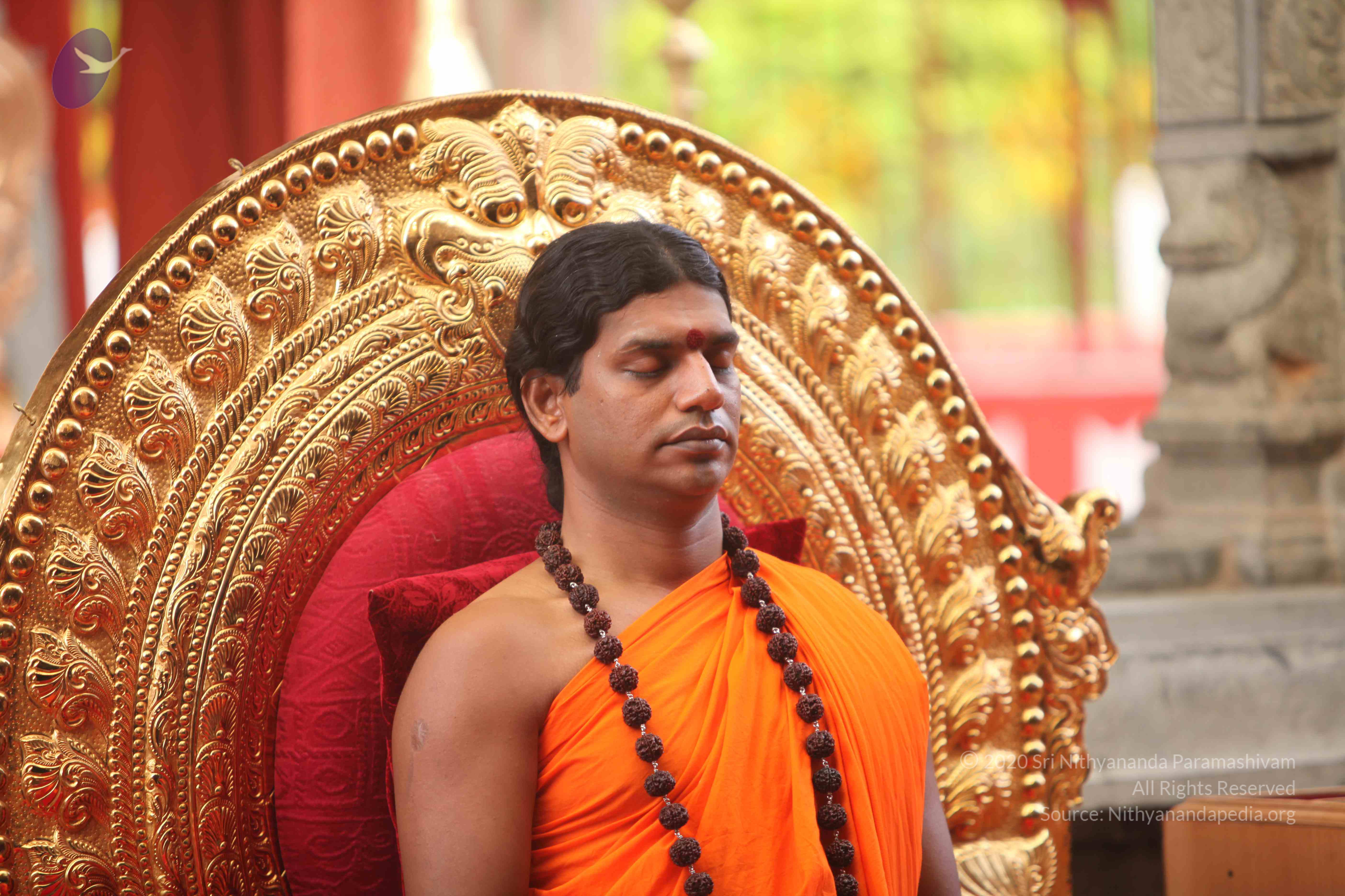 20101030_Photo_1004_IMG_7772_CMP_WM