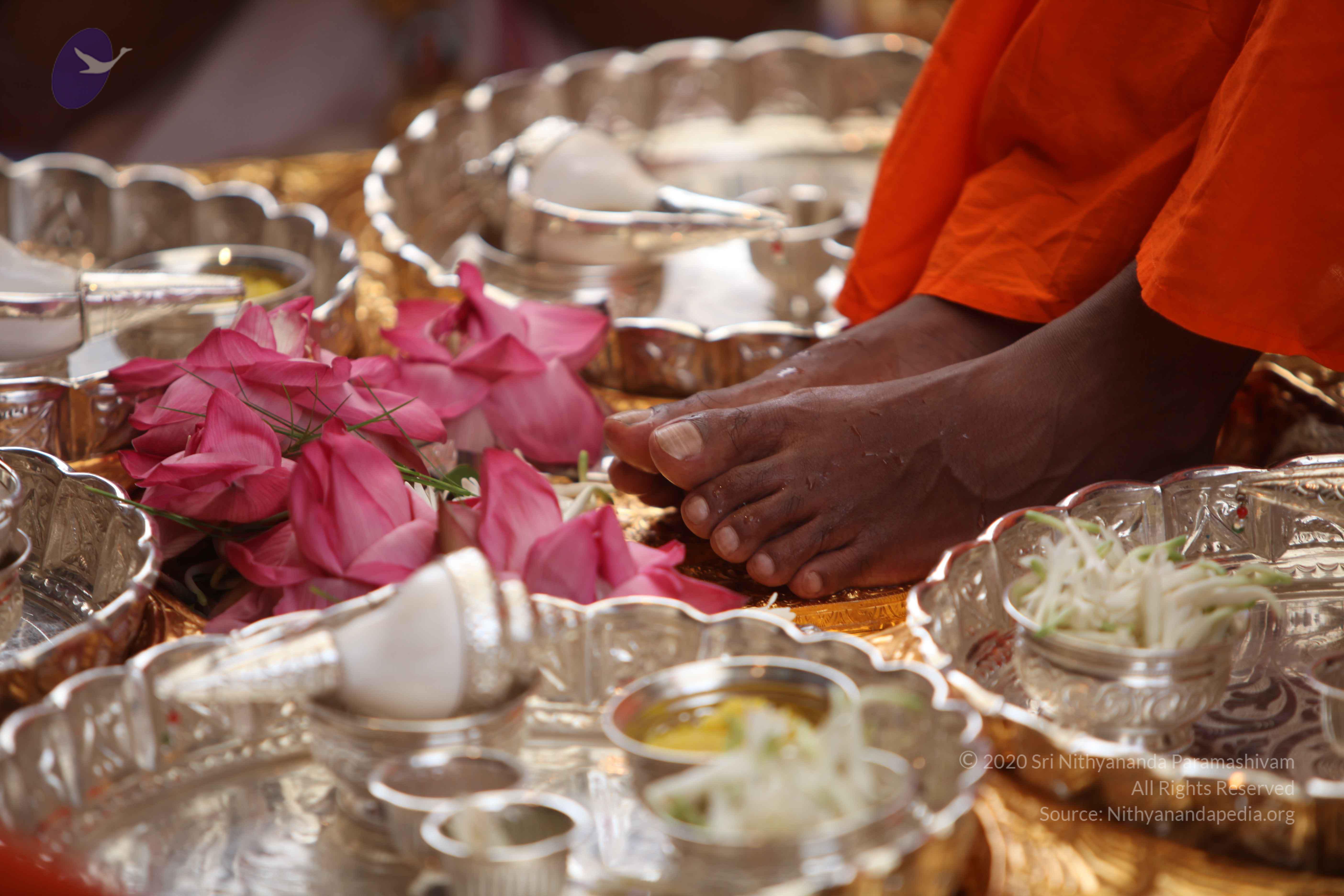 20101030_Photo_1005_IMG_7745_CMP_WM