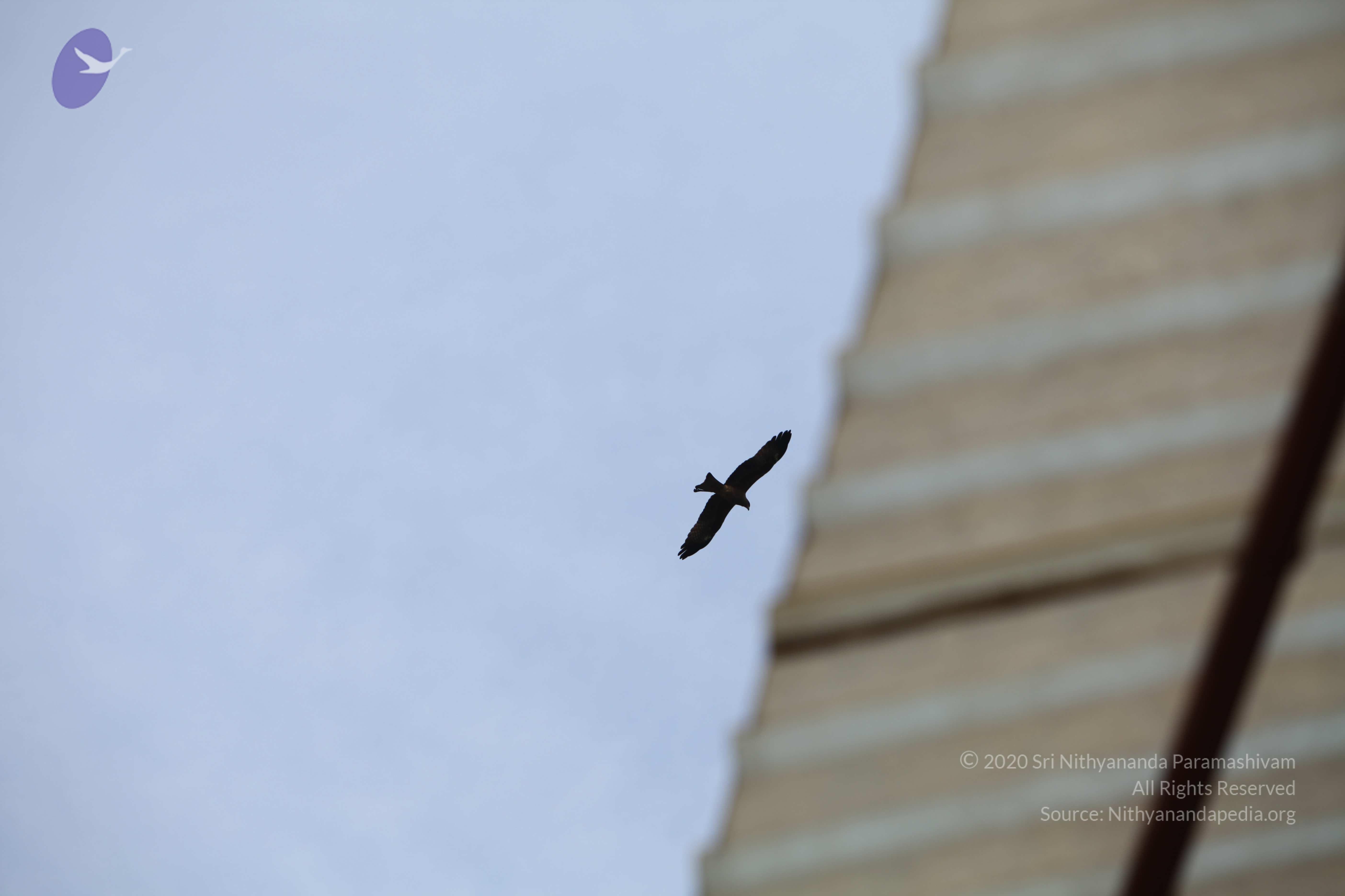 20101030_Photo_1008_IMG_7808_CMP_WM