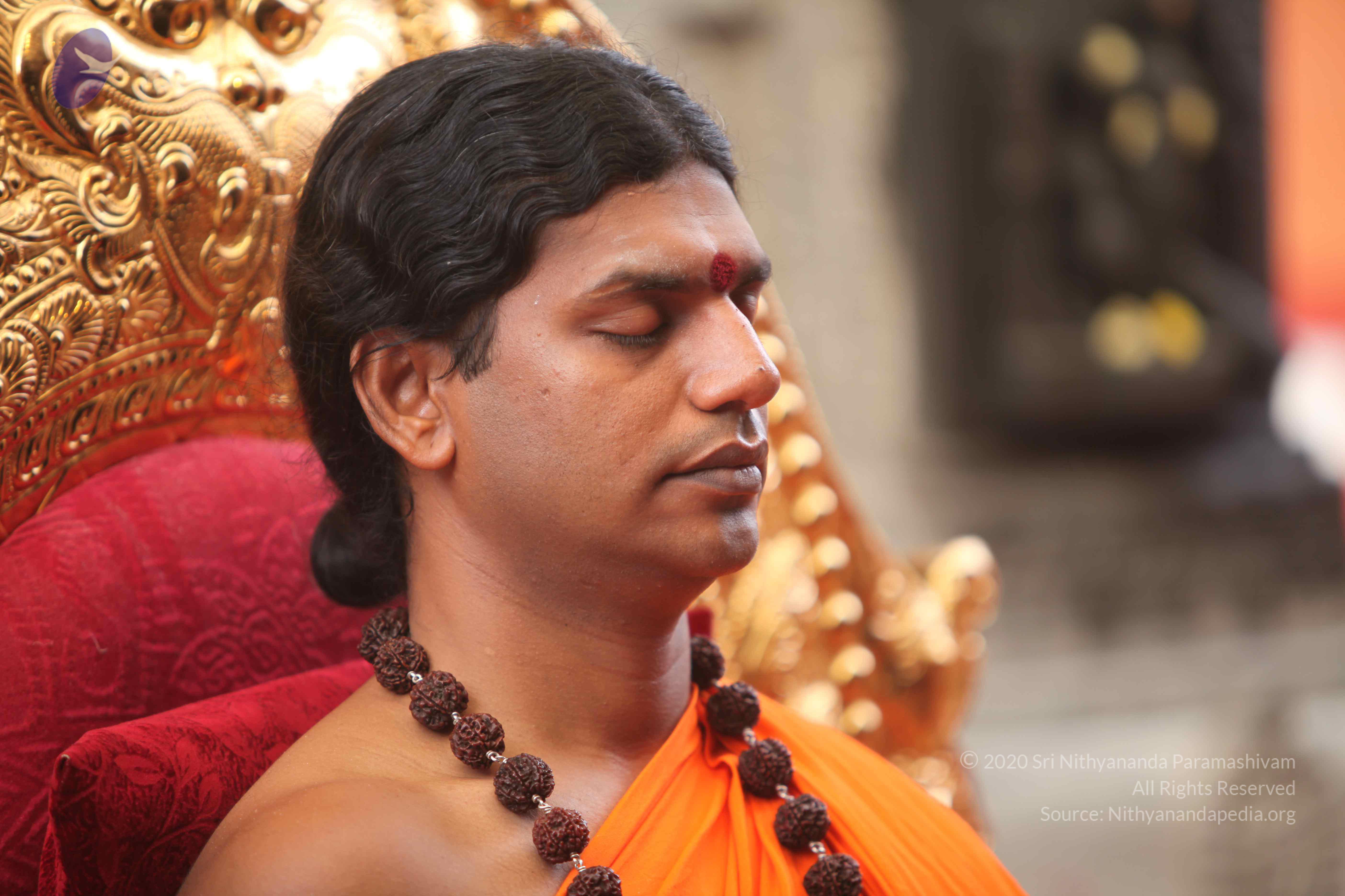 20101030_Photo_1009_IMG_7759_CMP_WM