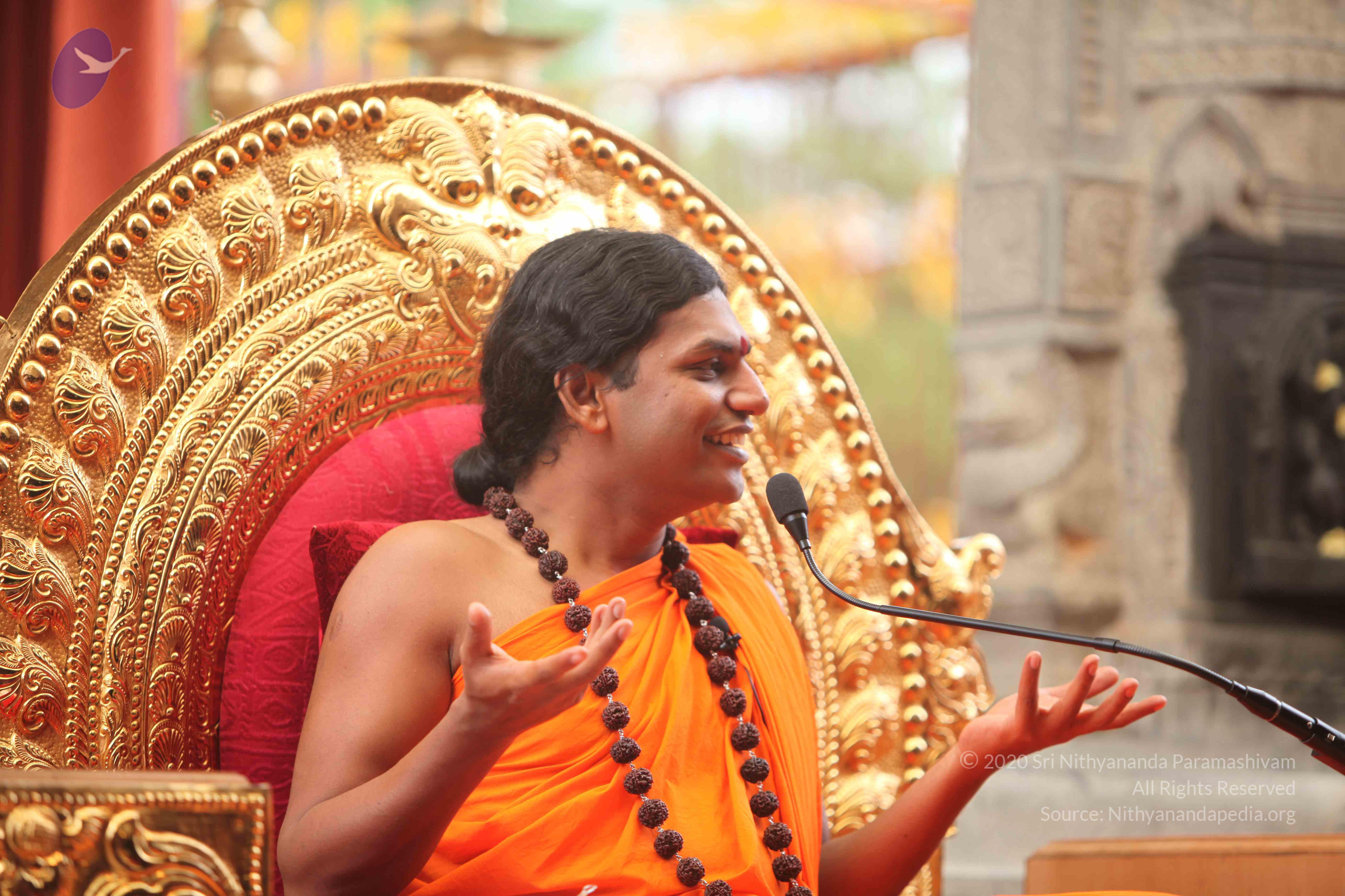 20101030_Photo_1010_IMG_7889_CMP_WM