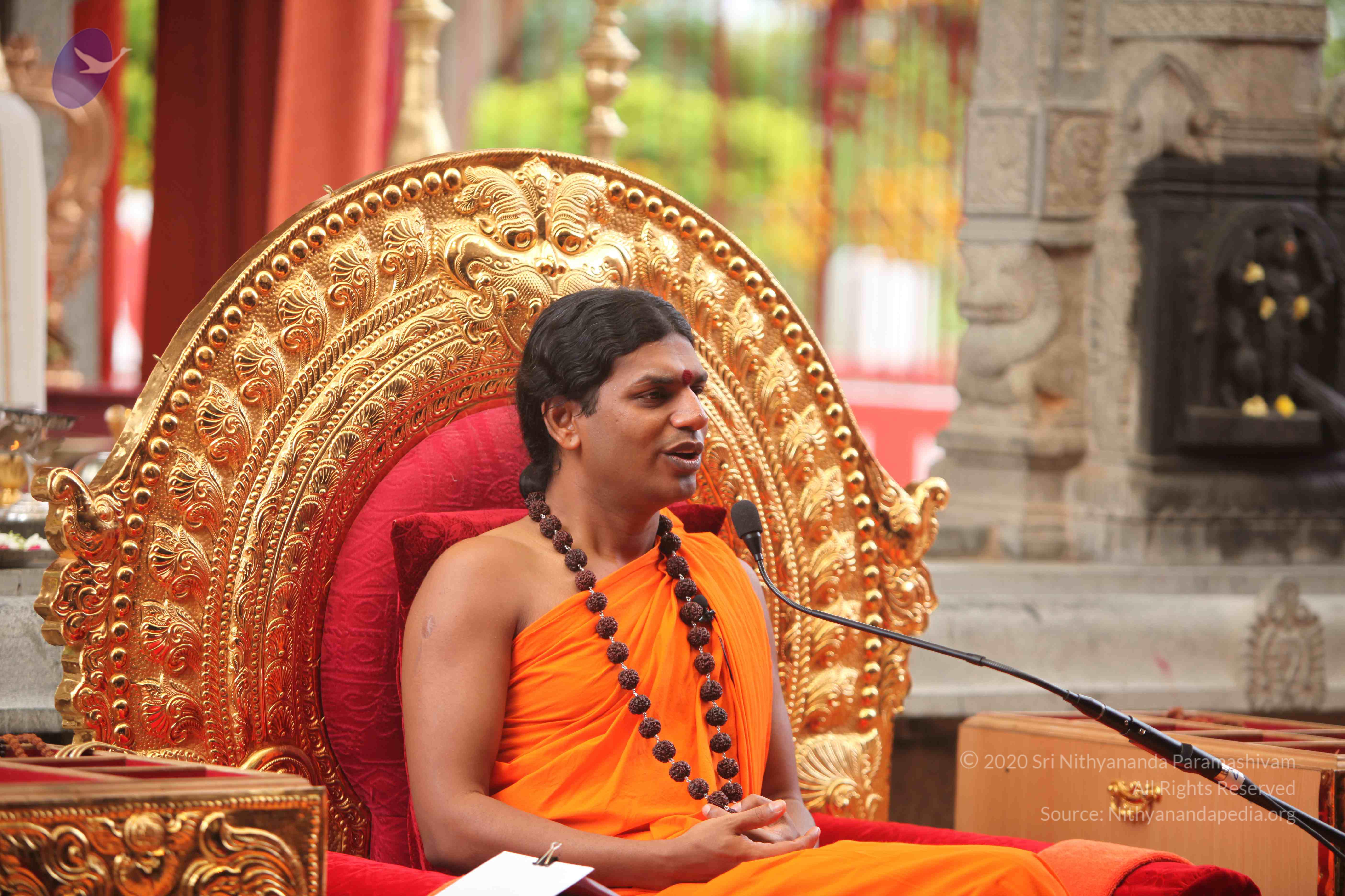 20101030_Photo_1011_IMG_7876_CMP_WM