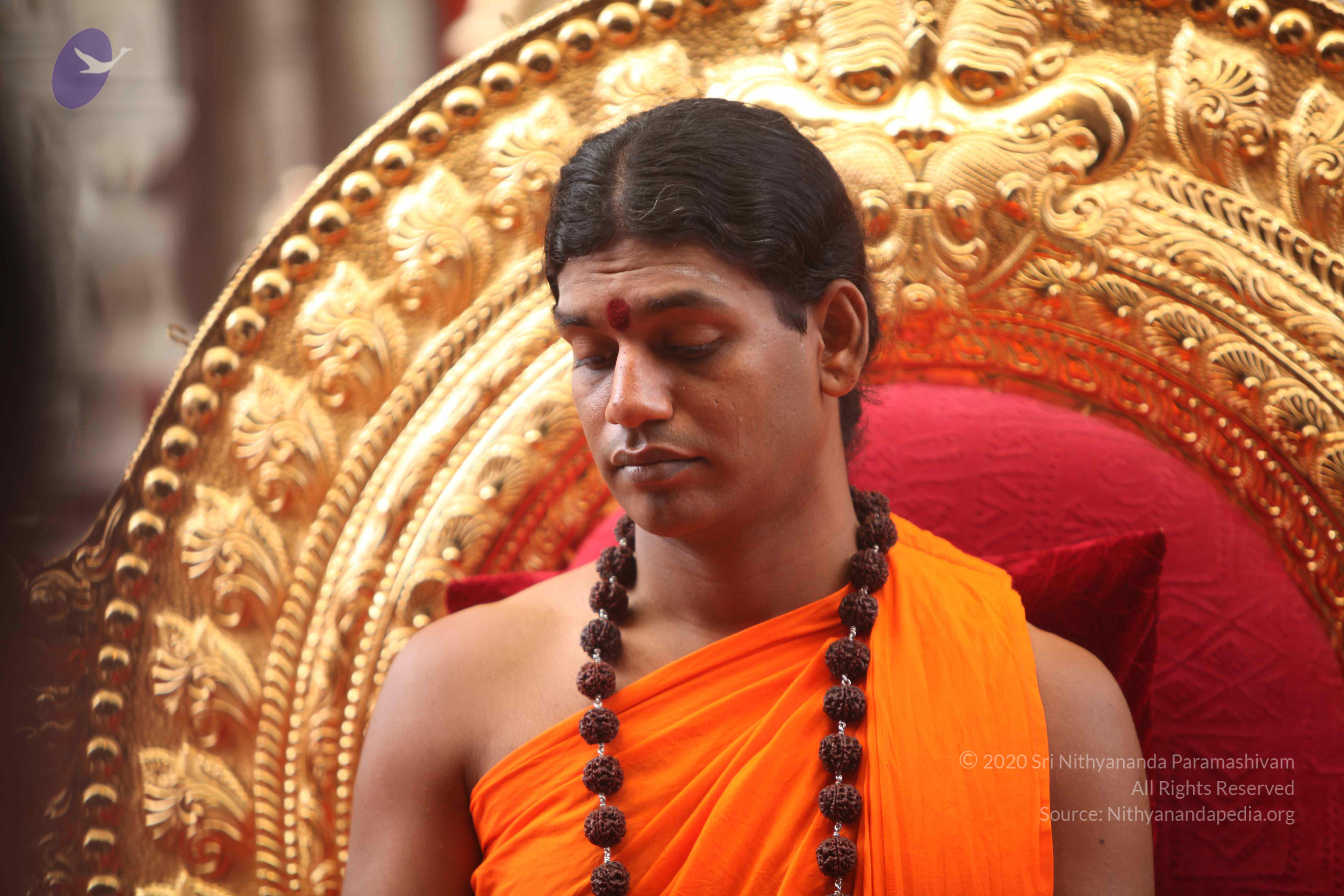 20101030_Photo_1012_IMG_7841_CMP_WM