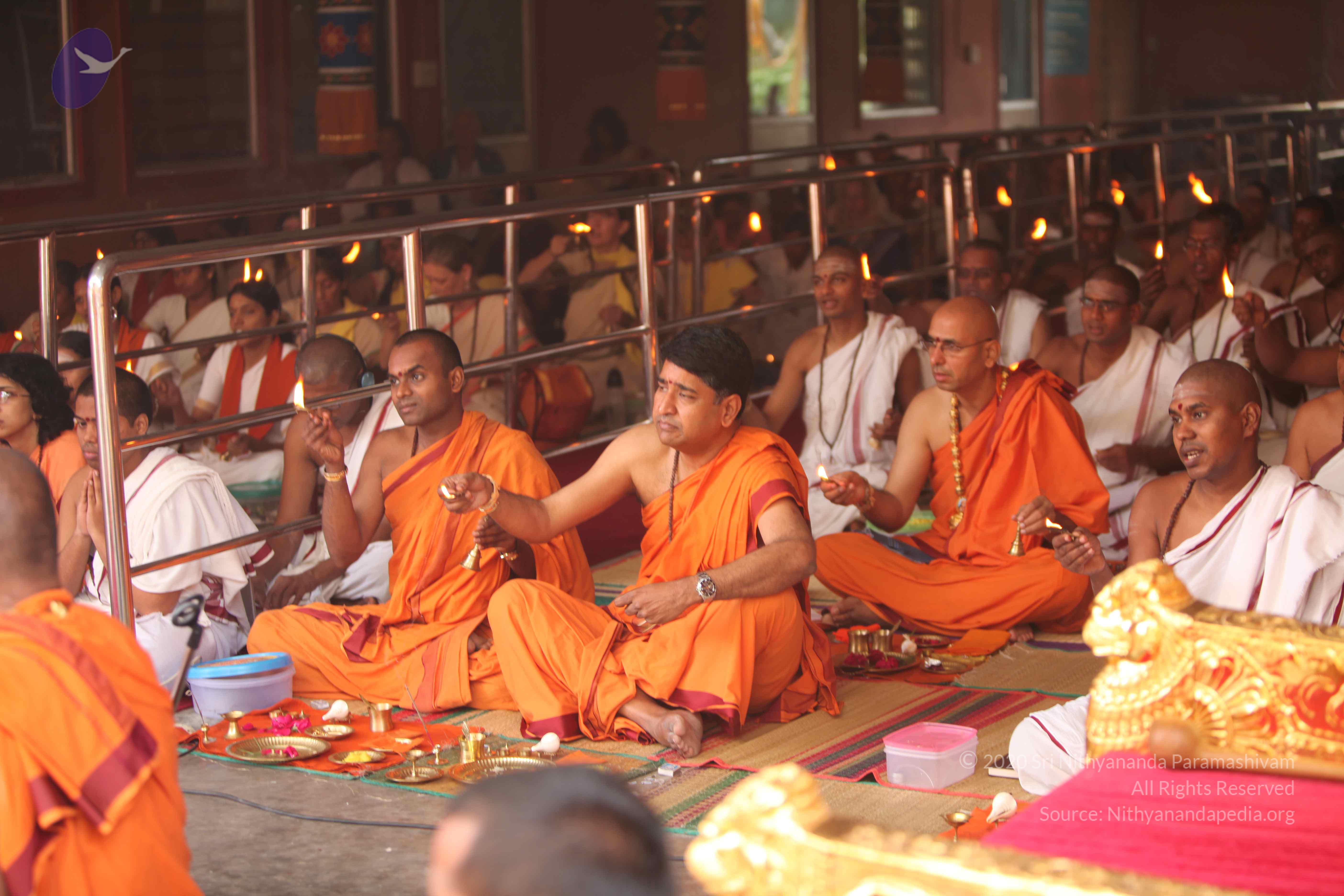 20101030_Photo_1016_IMG_7814_CMP_WM