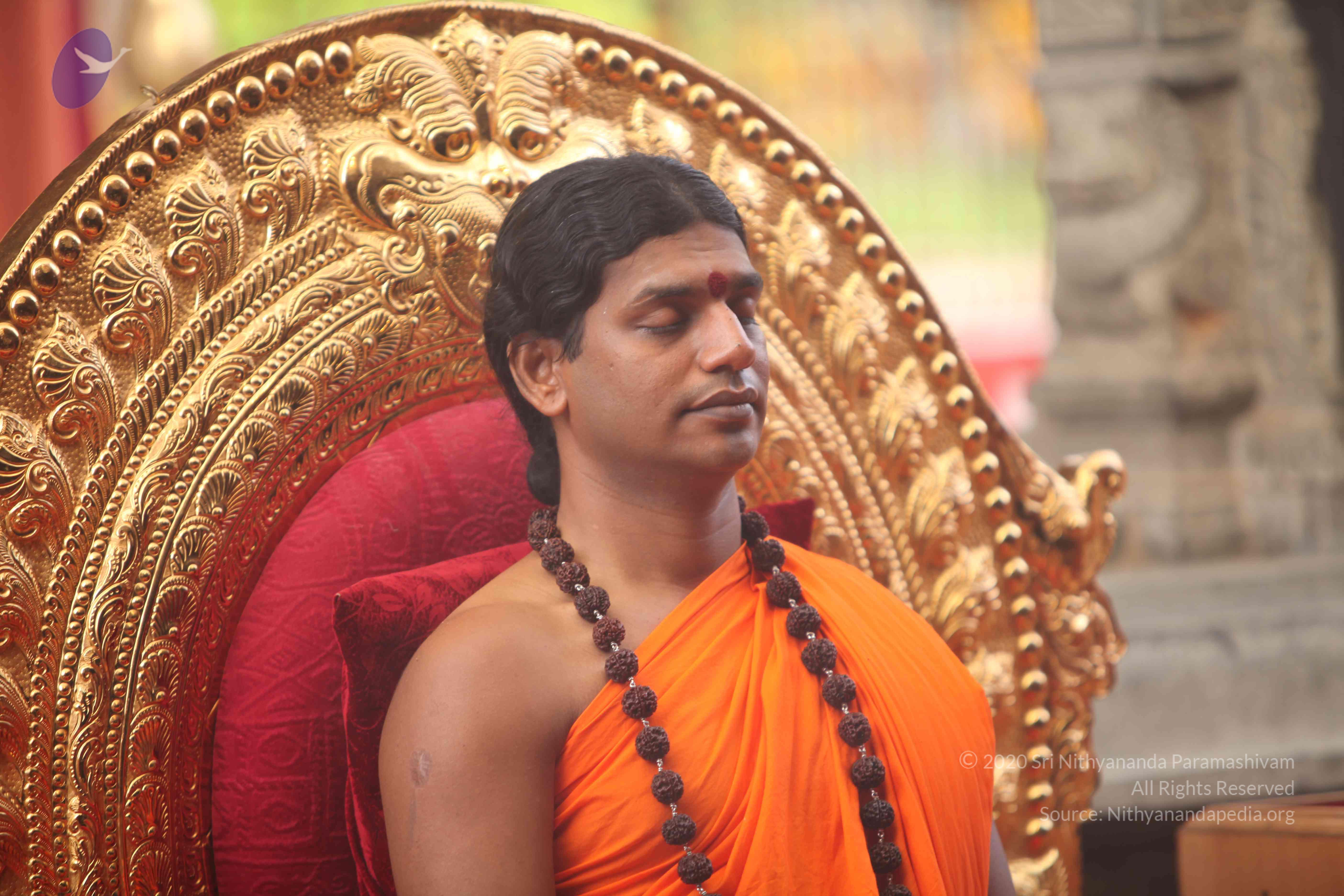 20101030_Photo_1017_IMG_7823_CMP_WM