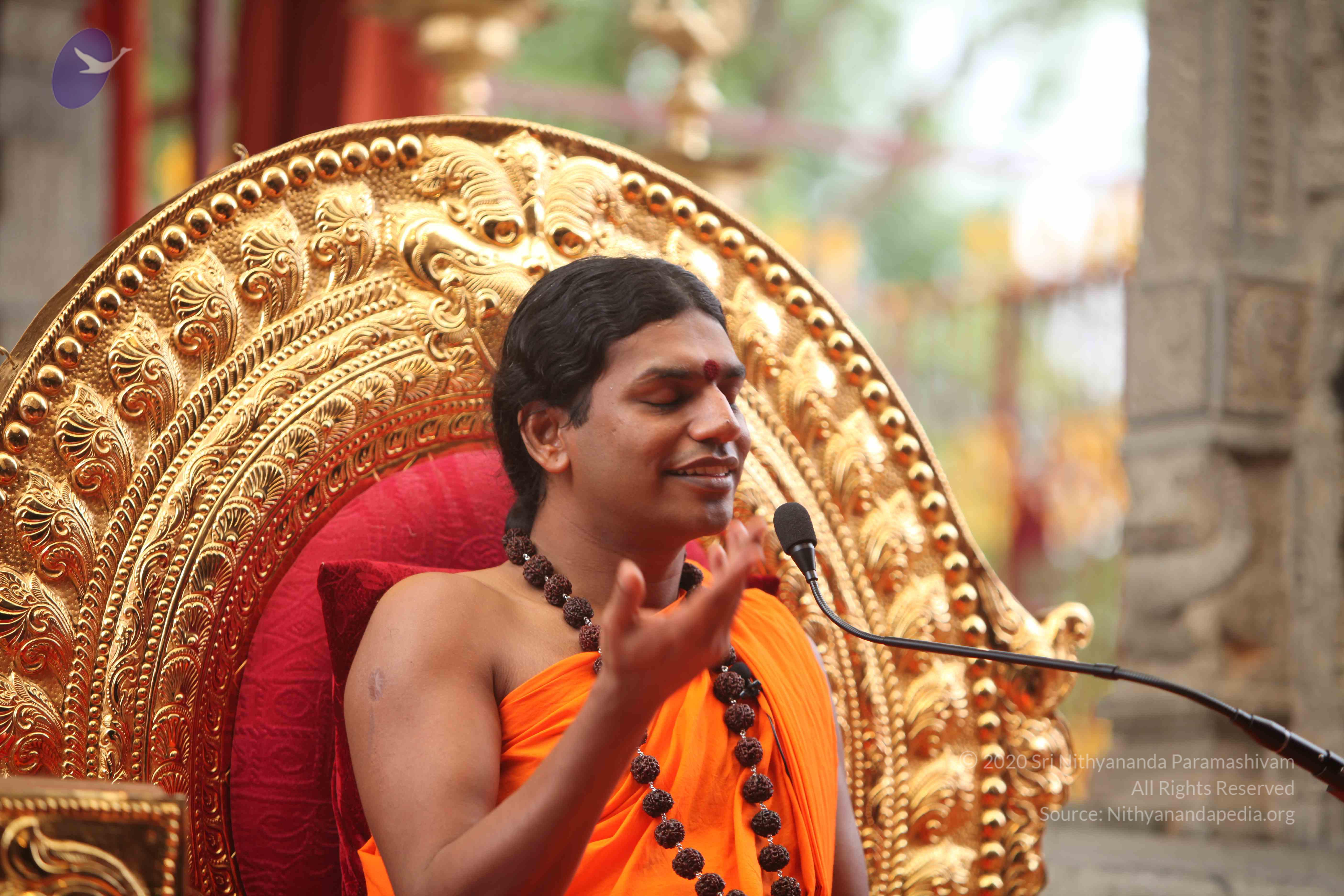 20101030_Photo_1018_IMG_7900_CMP_WM