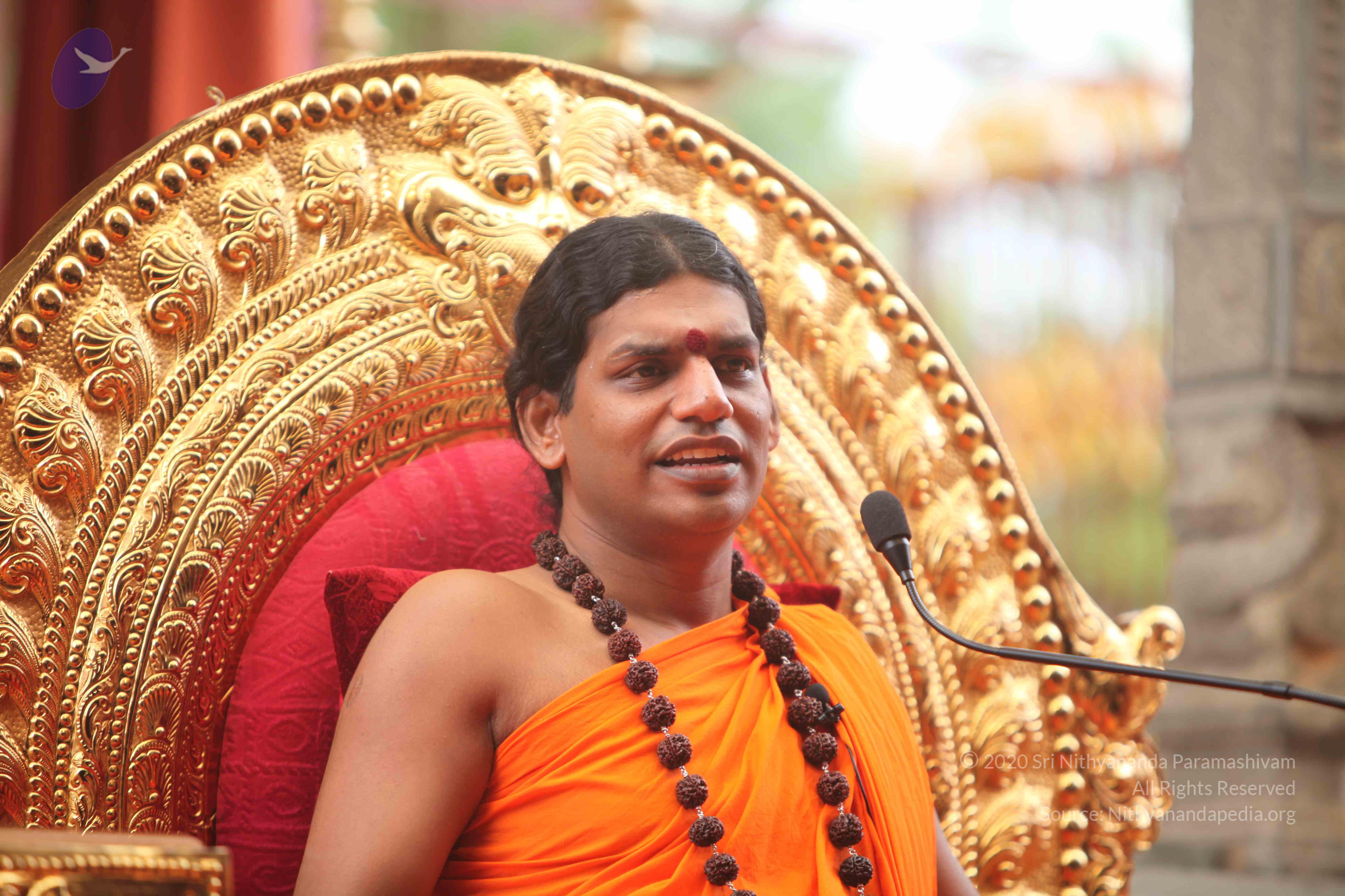 20101030_Photo_1020_IMG_7911_CMP_WM