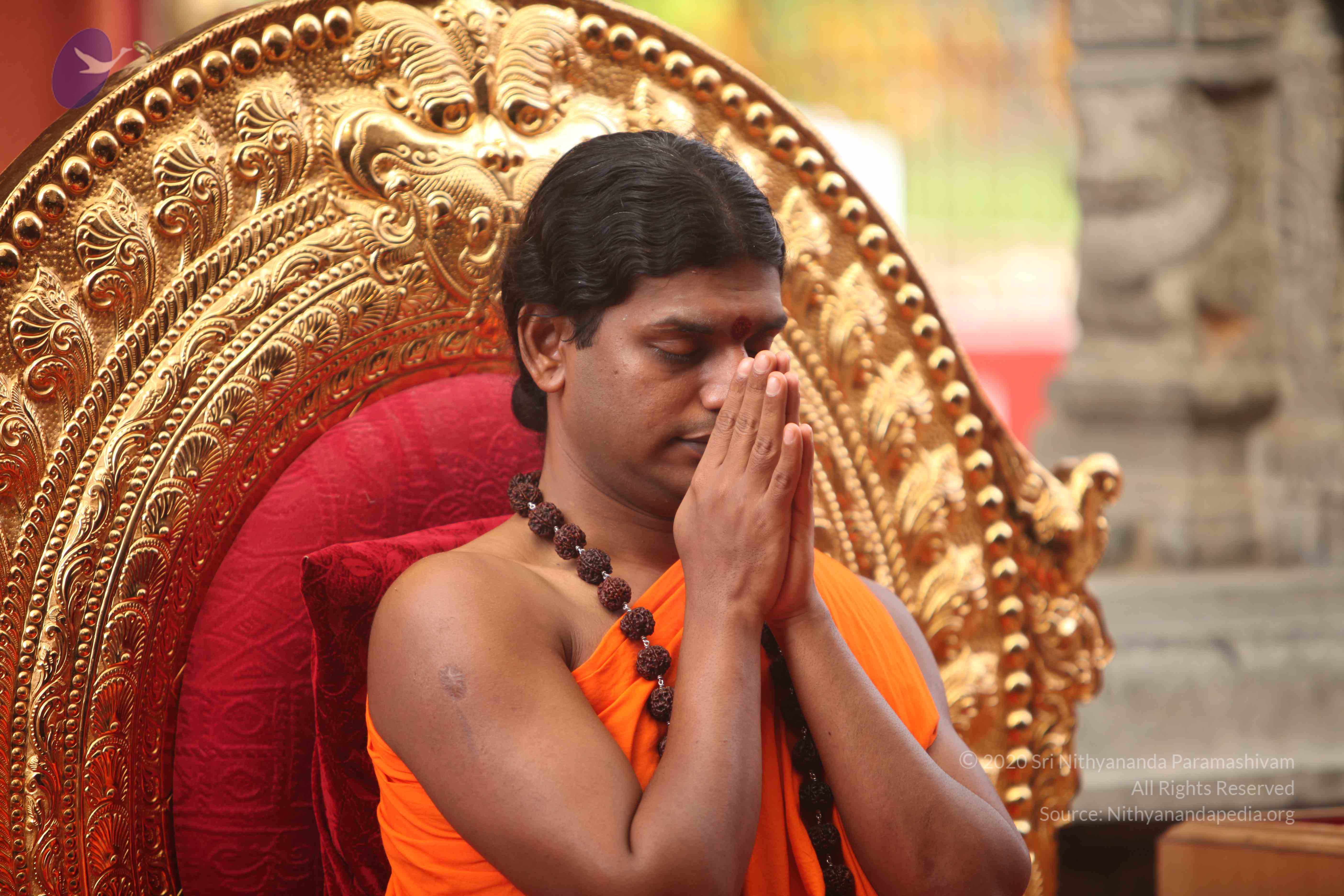 20101030_Photo_1021_IMG_7832_CMP_WM