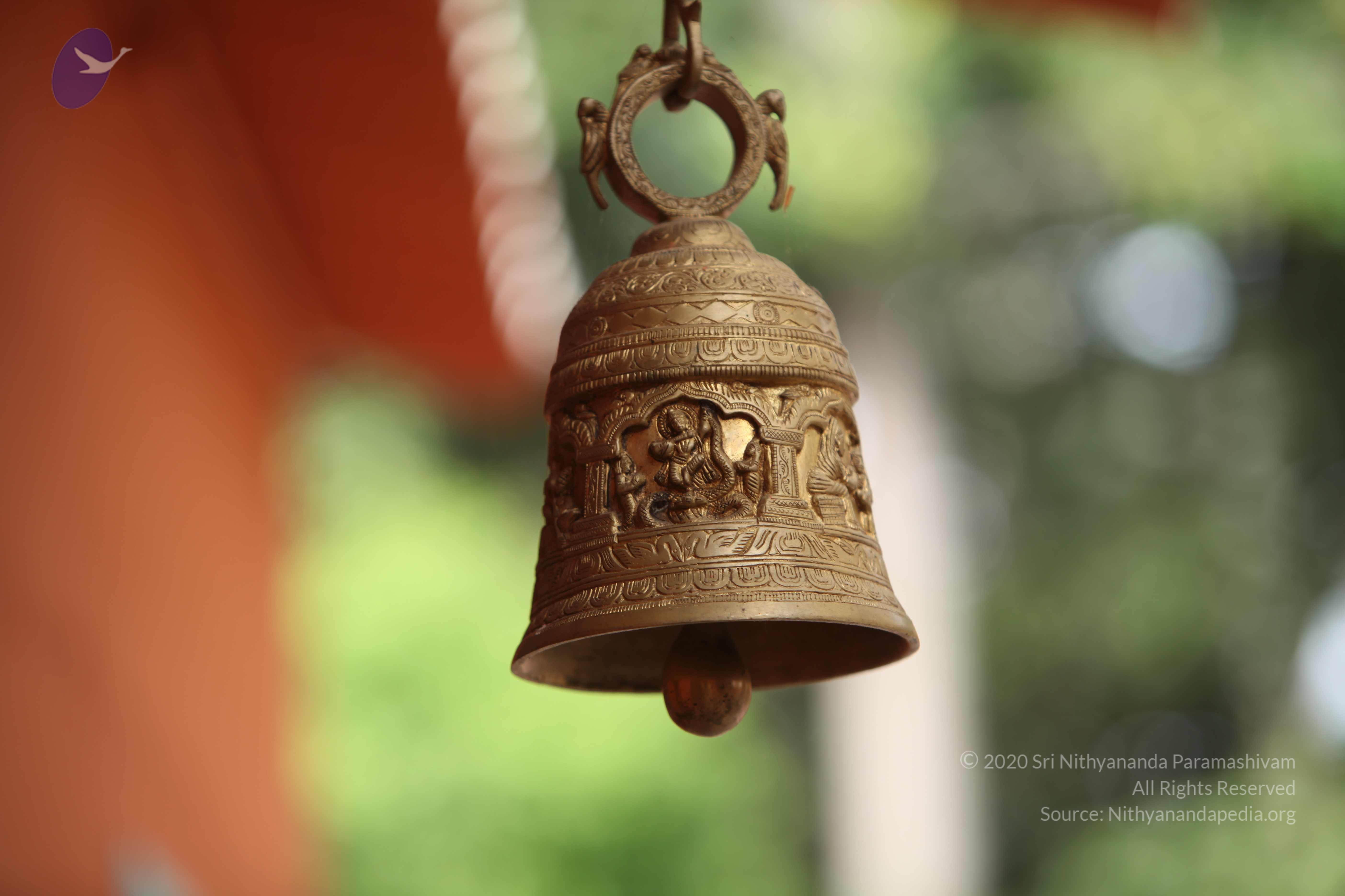 20101030_Photo_1022_IMG_7805_CMP_WM